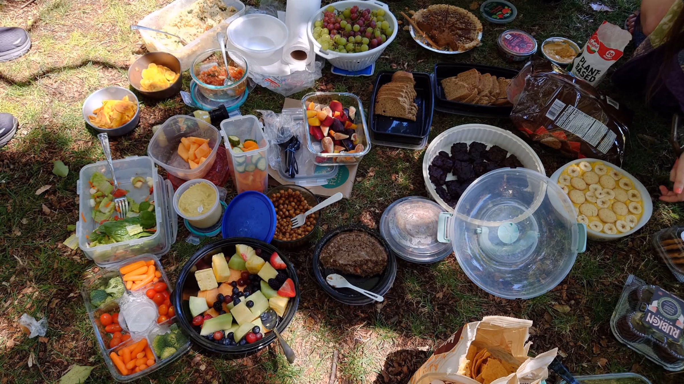 Silicon valley vegan potluck picnic