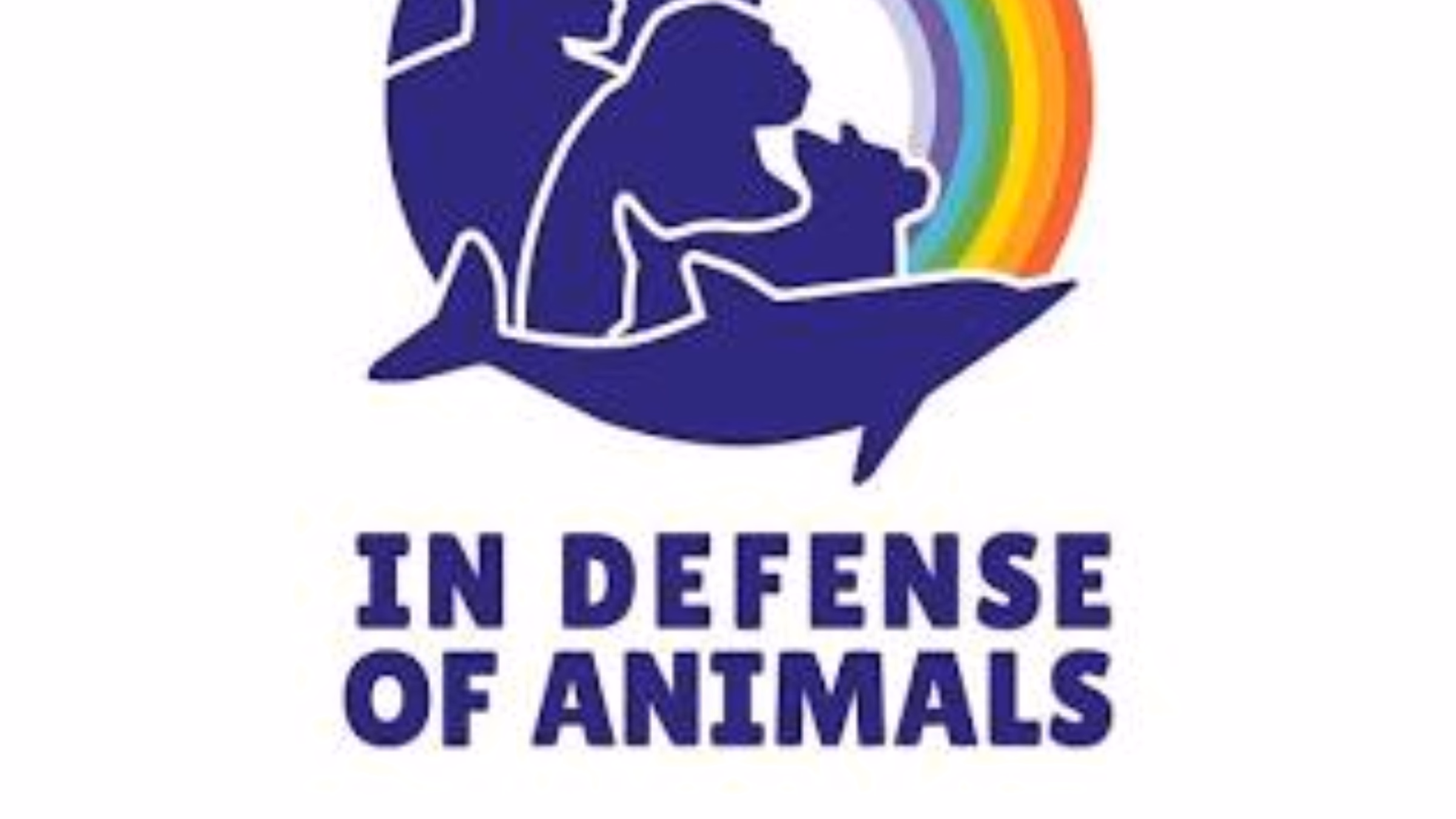 Vegan Mentor Support Group