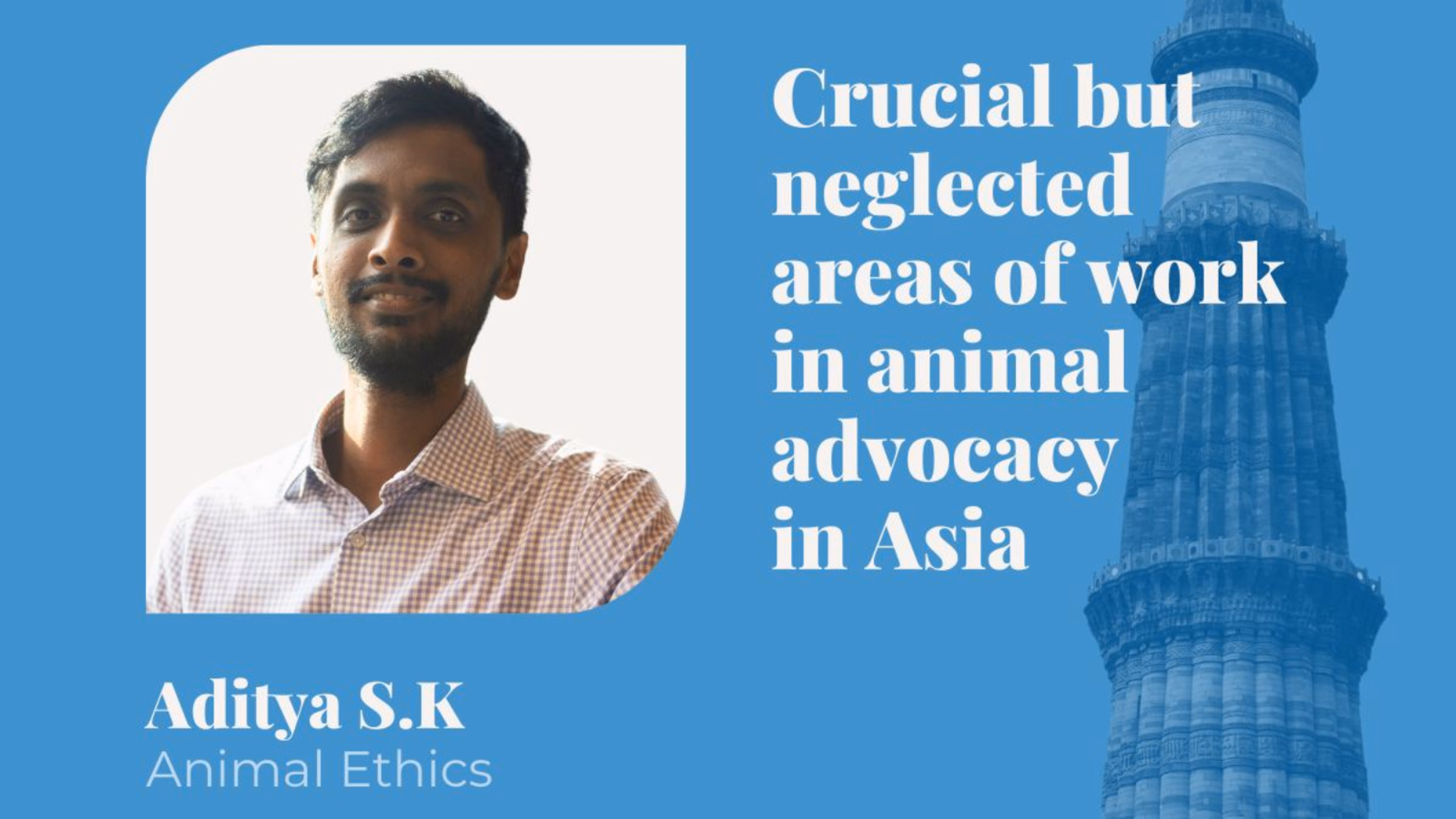 Talk at AVA Summit India: Crucial but neglected areas of work in animal advocacy in Asia
