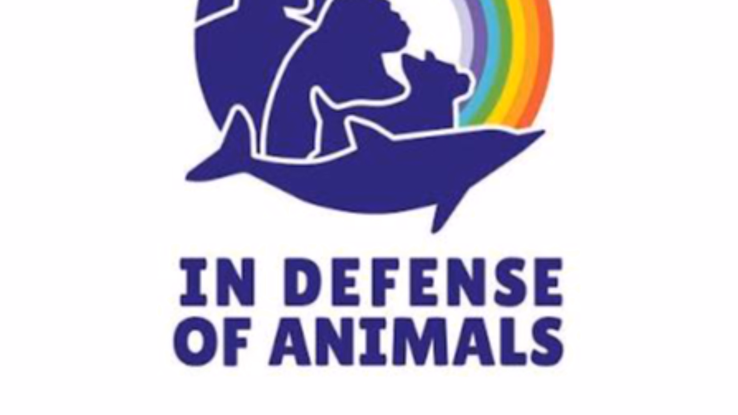 Vegan Mentor Support Group