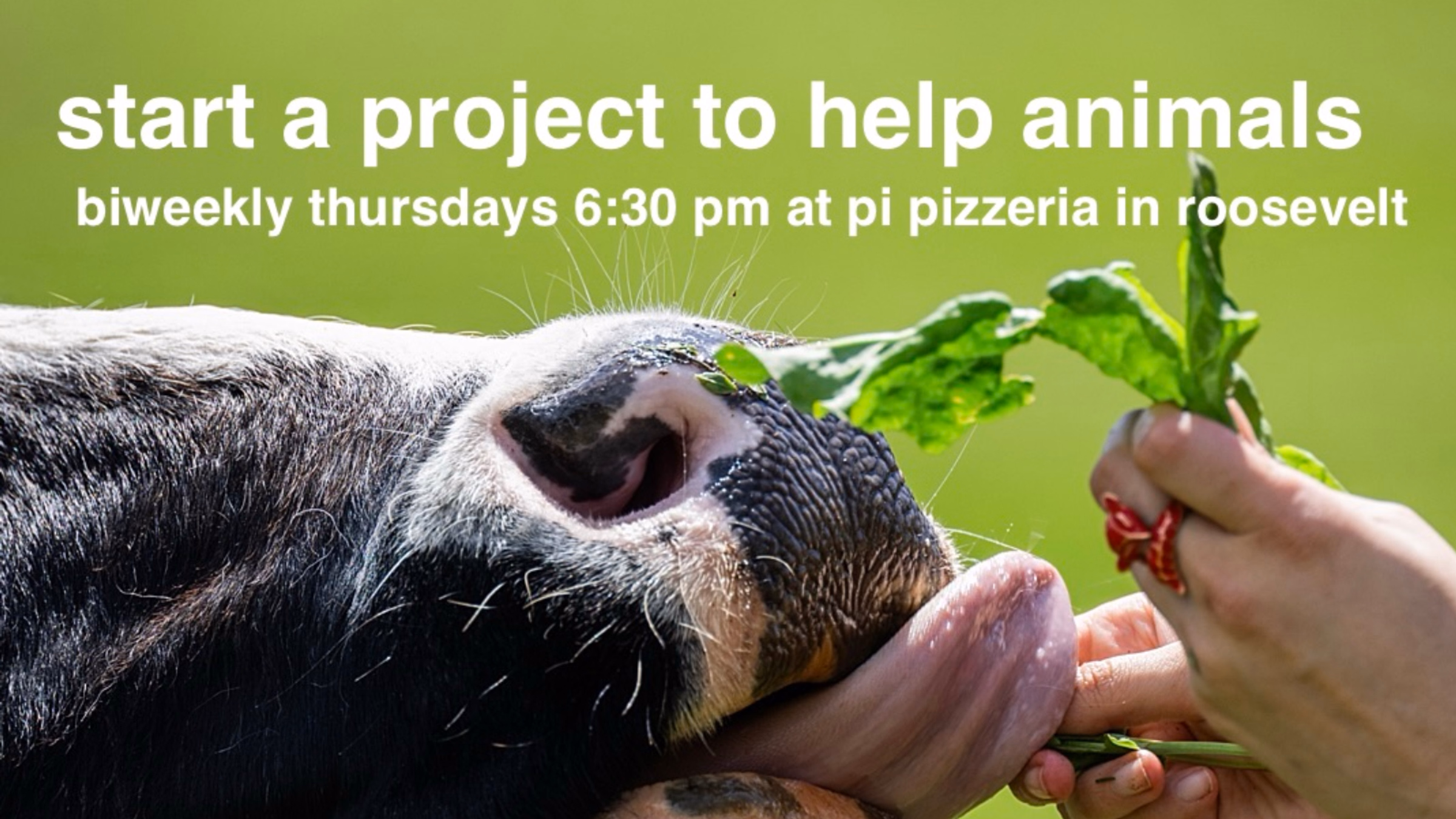 Seattle Animal Rights Entrepreneur Group at Pi Pizzeria