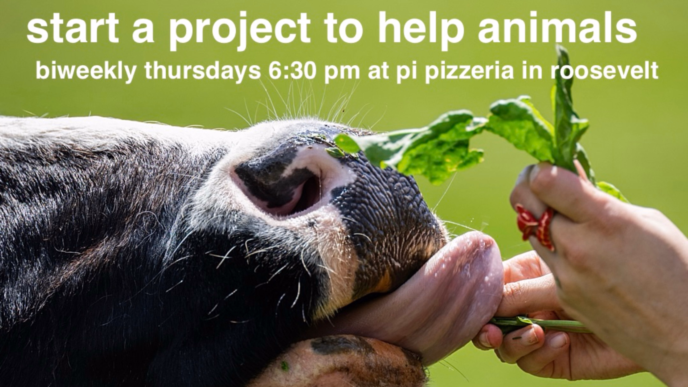 Seattle Animal Rights Entrepreneur Group at Pi Pizzeria