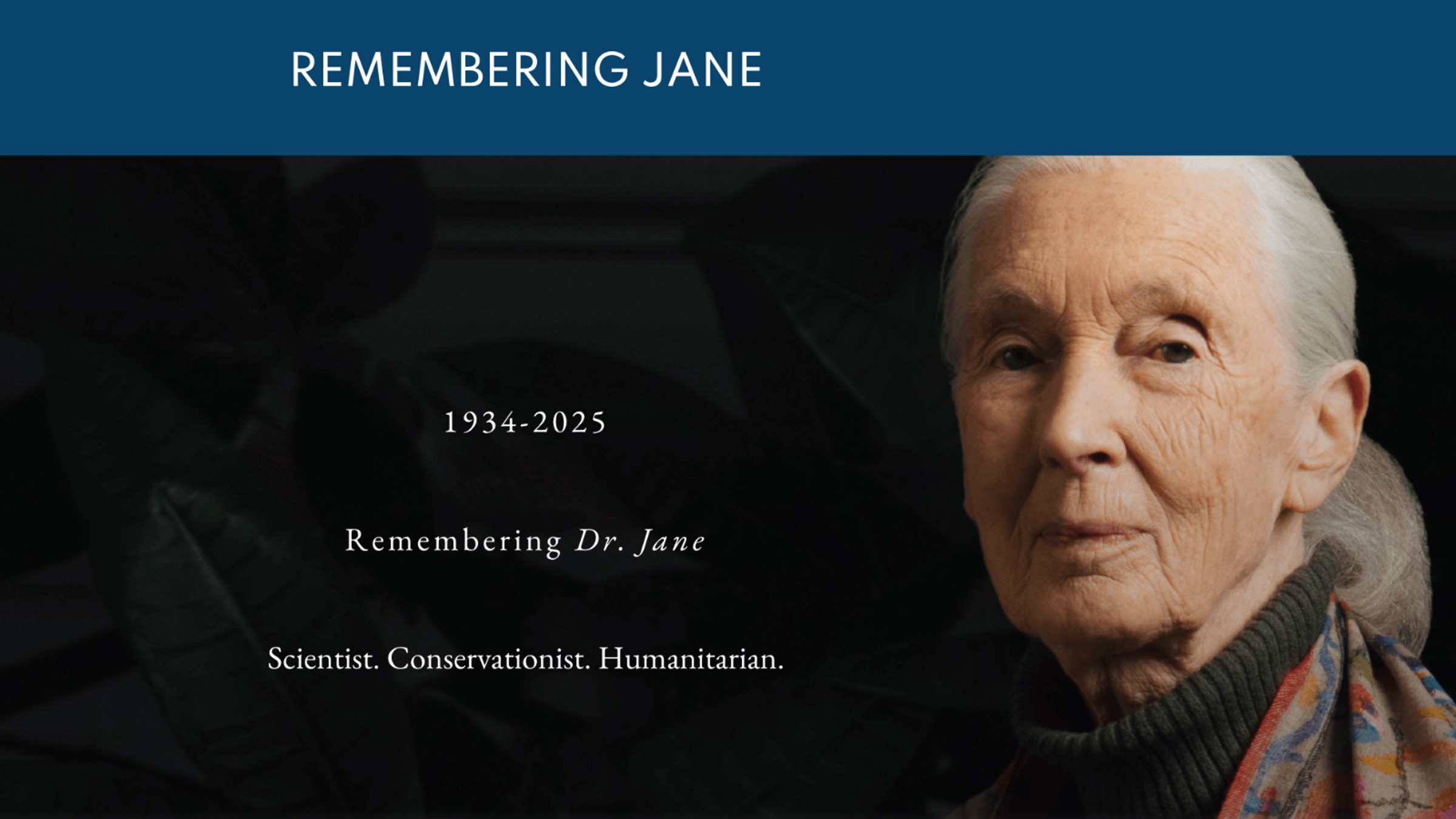 Vigil to Honor Dr. Jane Goodall and World Farmed Animals Day