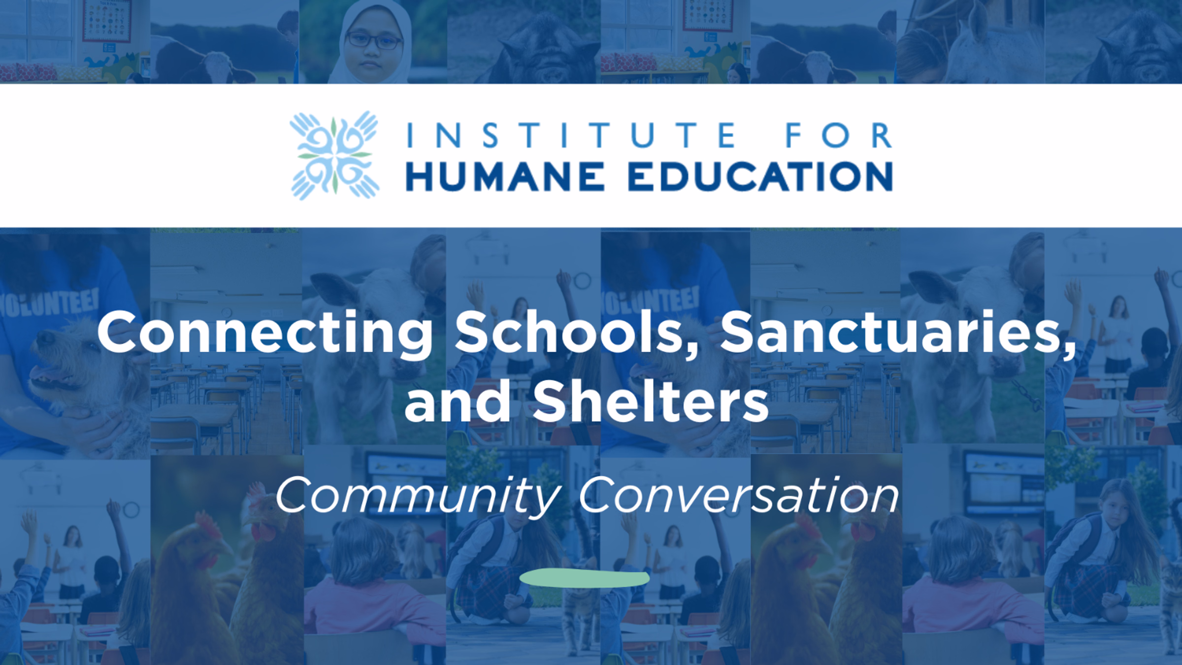 Connecting Schools, Sanctuaries, and Shelters