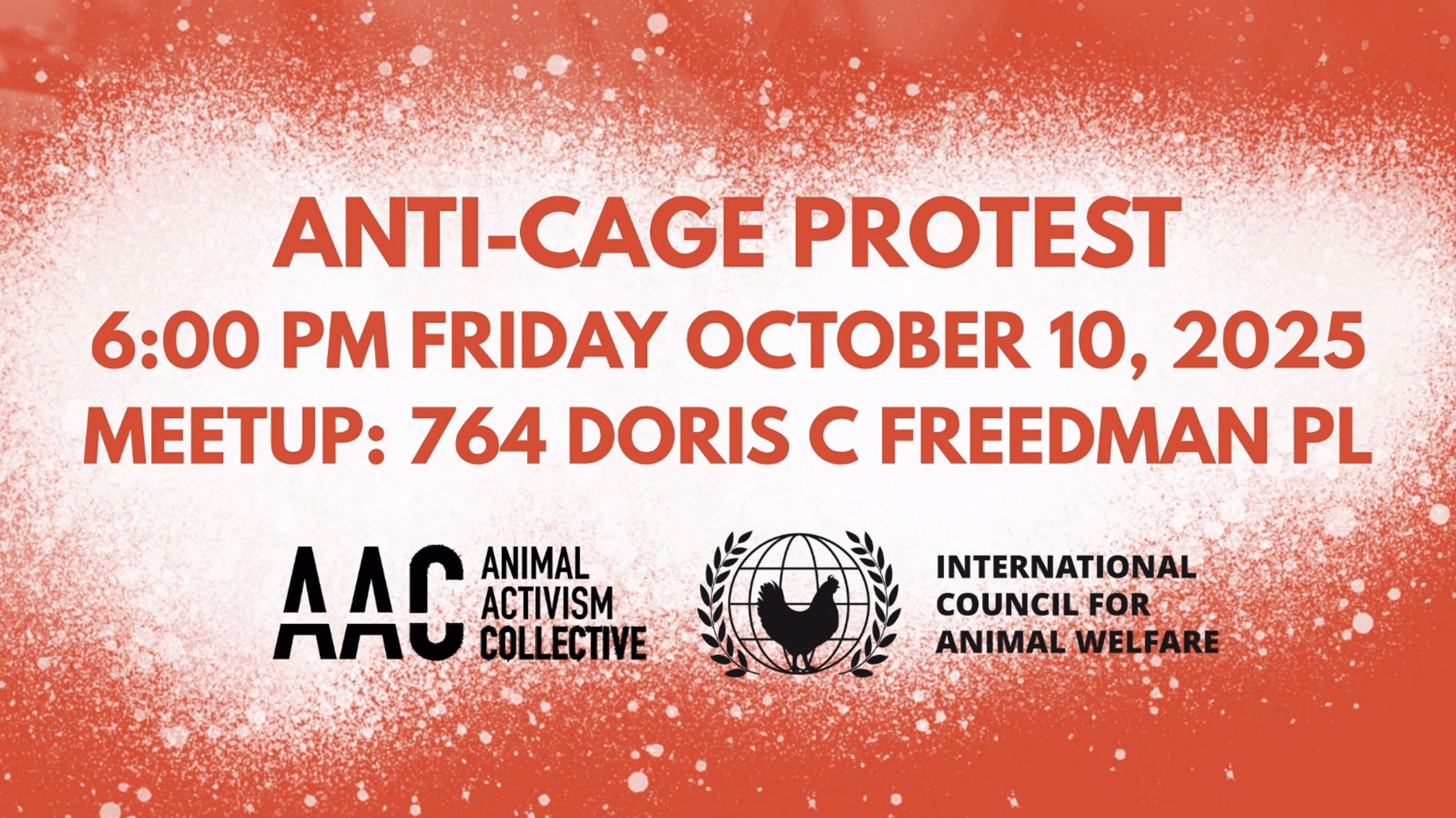 NYC ANTI-CAGE PROTEST