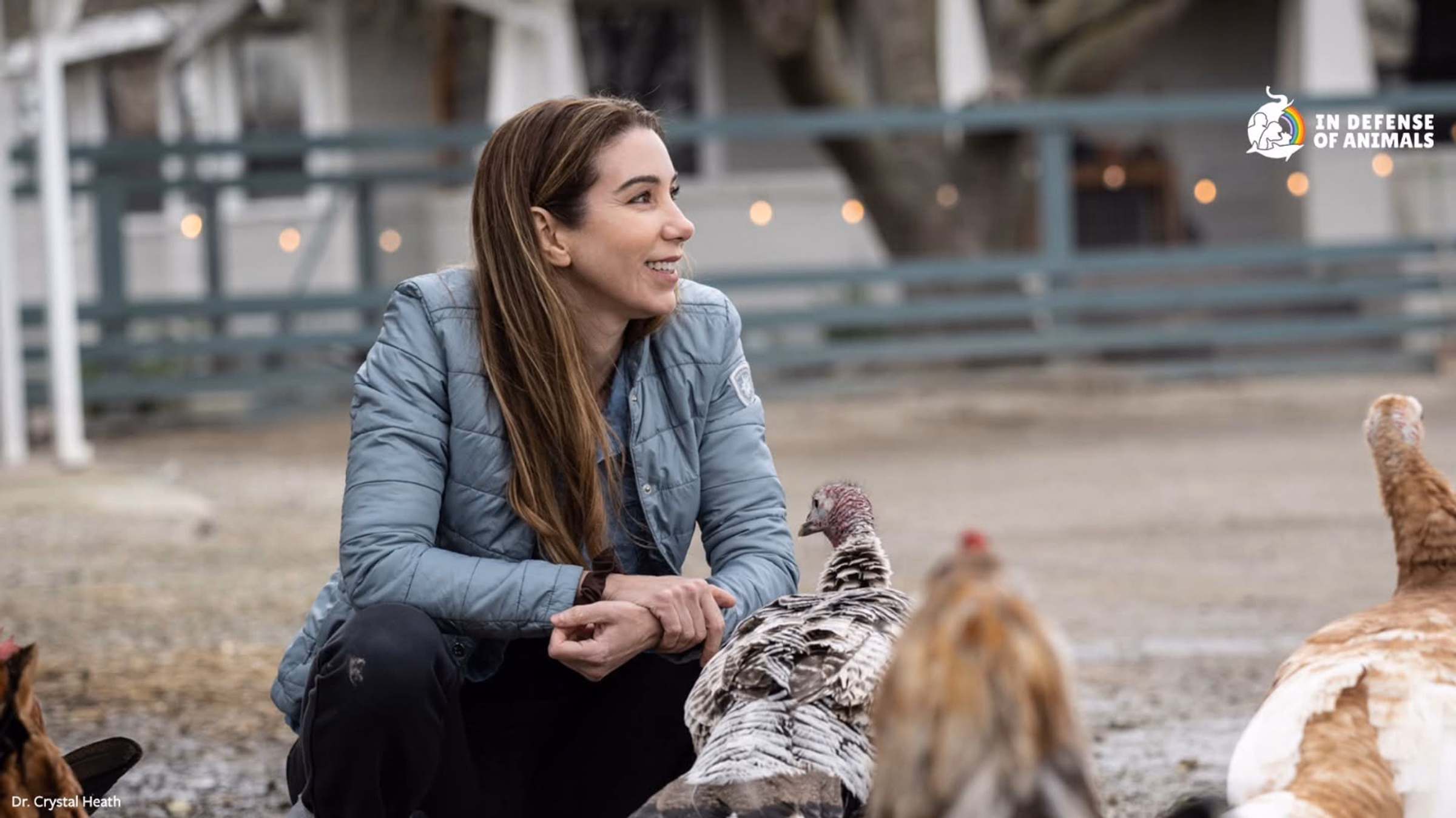 Bird Flu, Mass Killings & Veterinary Courage with Dr. Crystal Heath