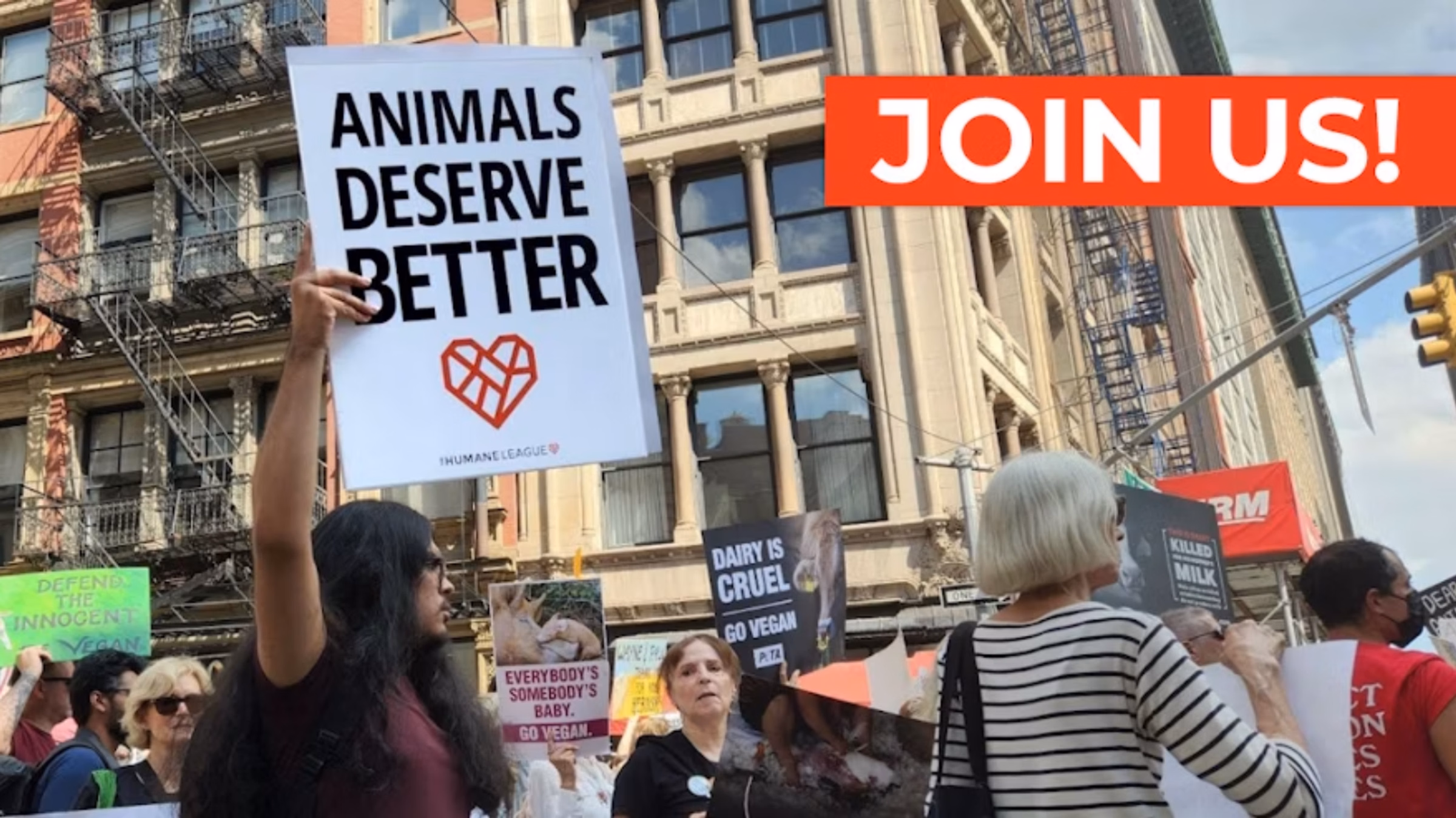 ๐ชง San Francisco CA | Demand Comfort Inn End Cages!!!