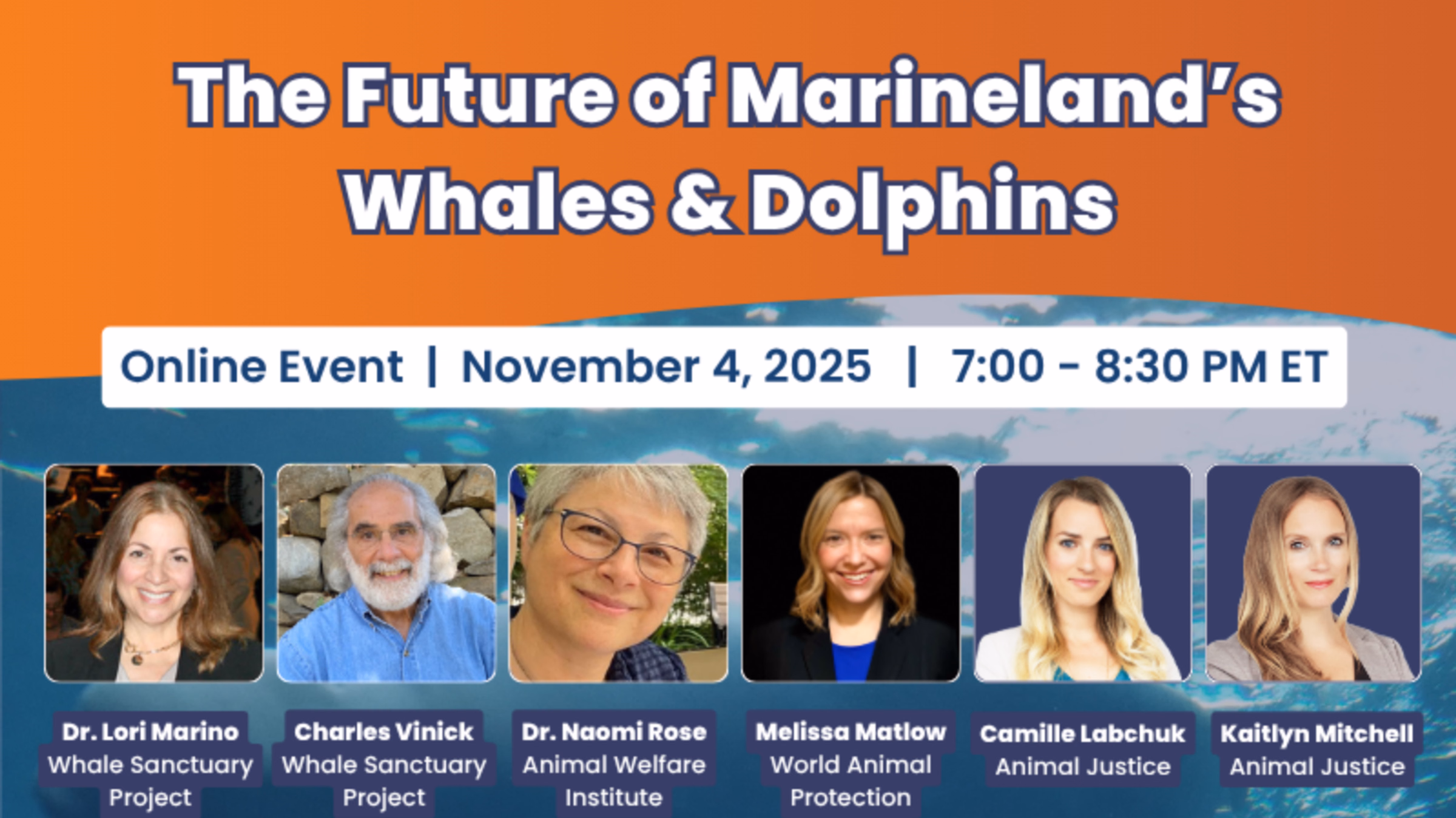 The Future of Marineland’s Whales & Dolphins