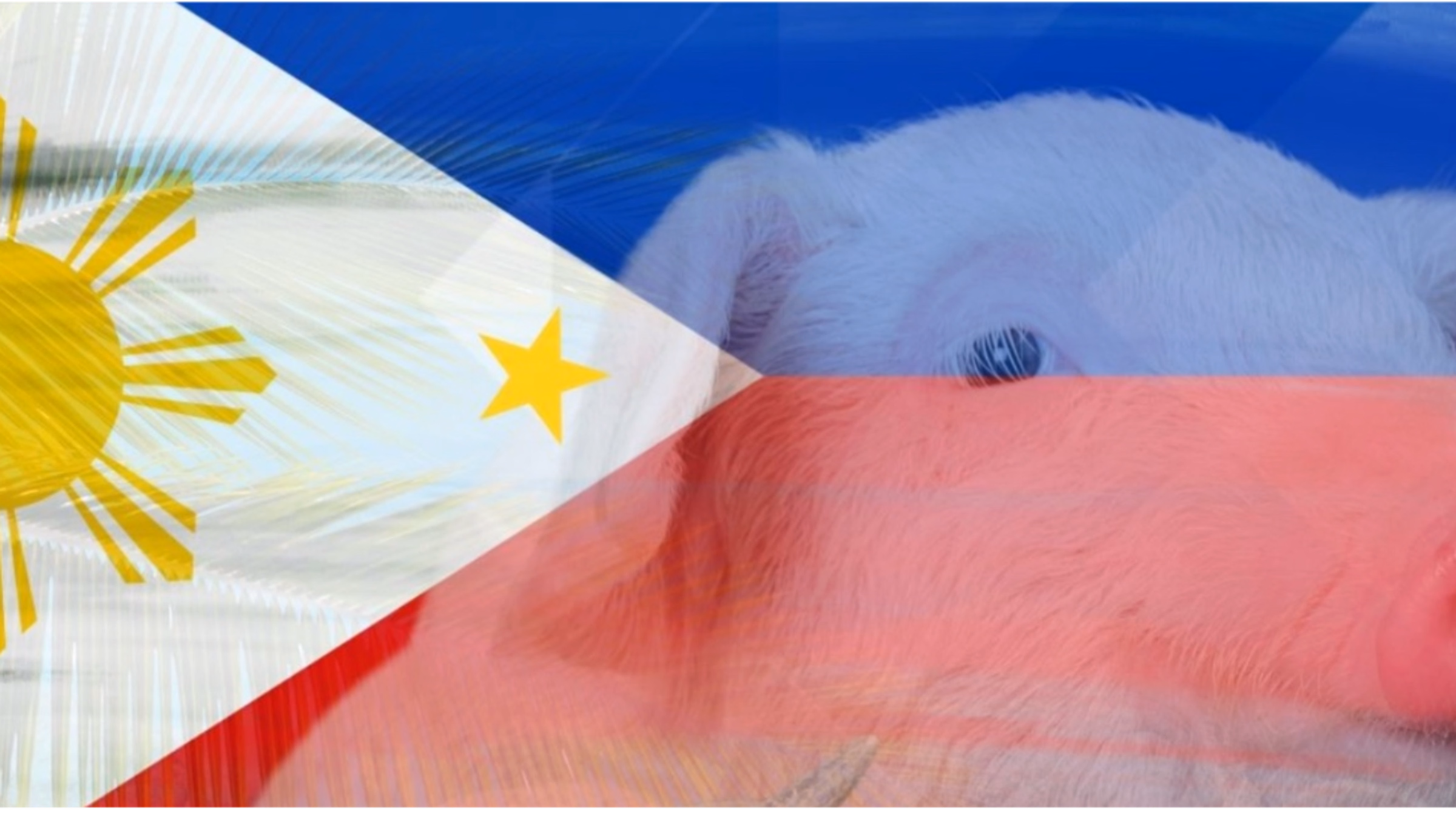 Vegan Rising: Voices of Compassion and Change in the Philippines