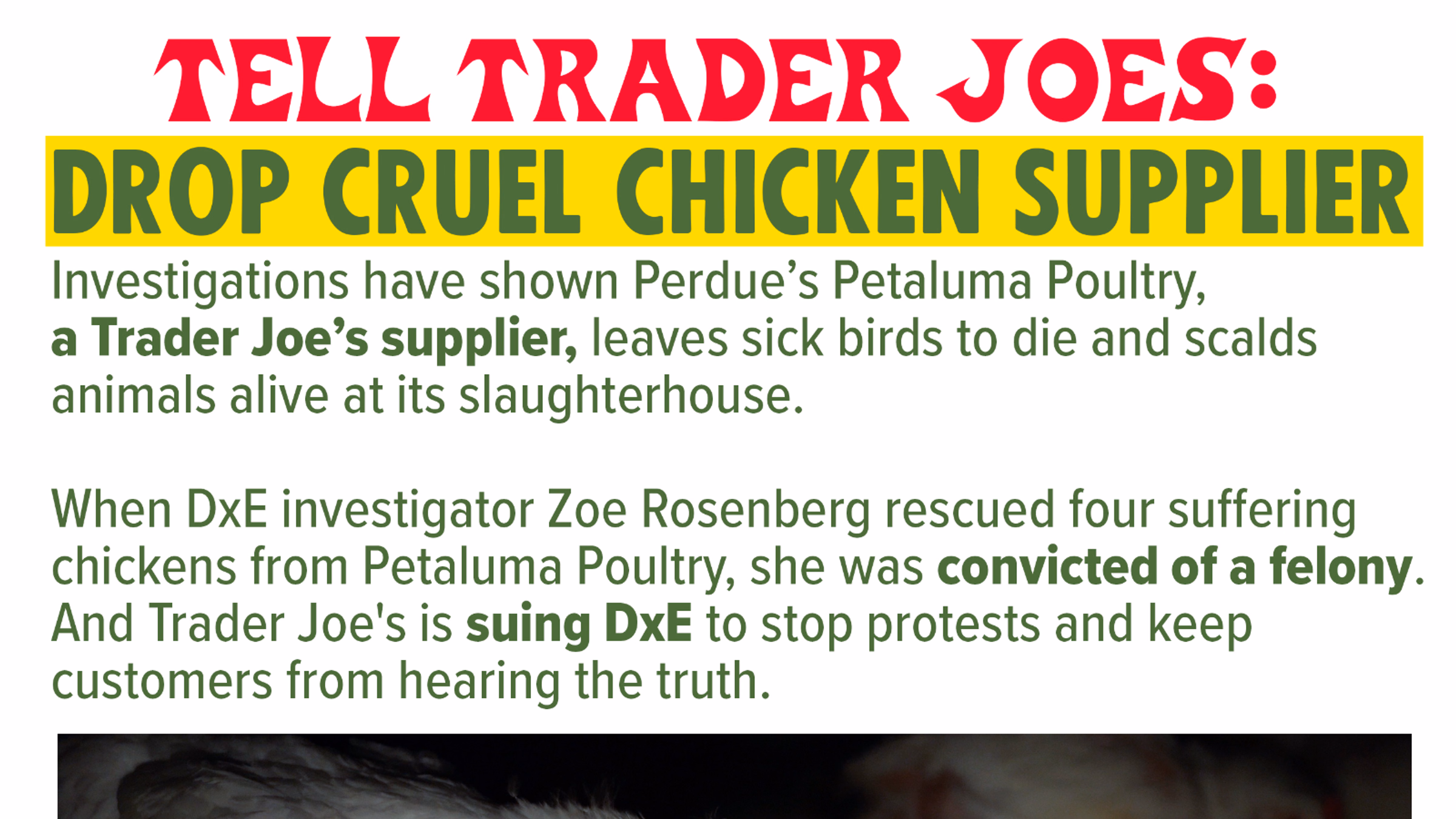Protest at Trader Joe's 🐓 Boston