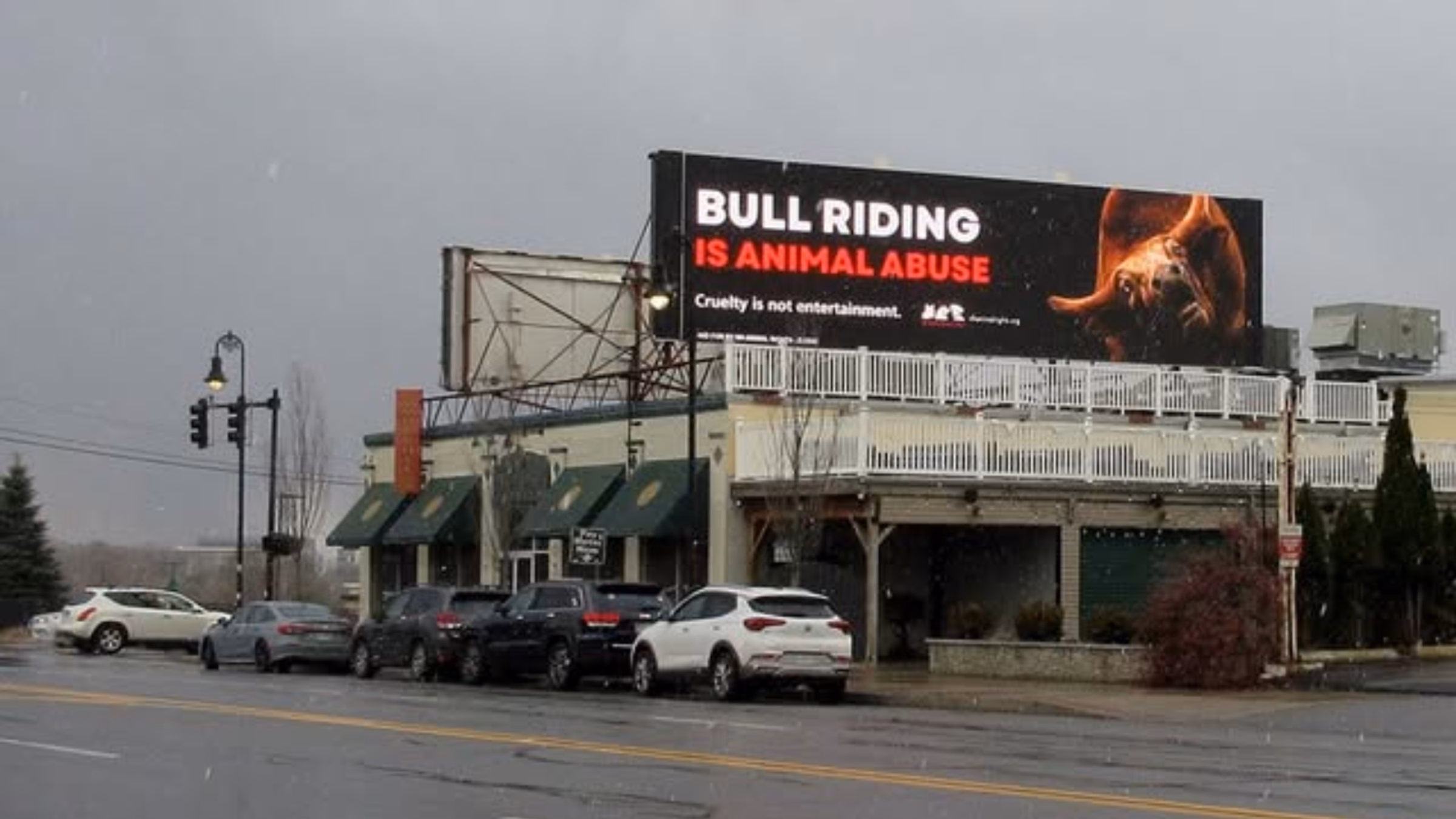 Protest Bull Riding