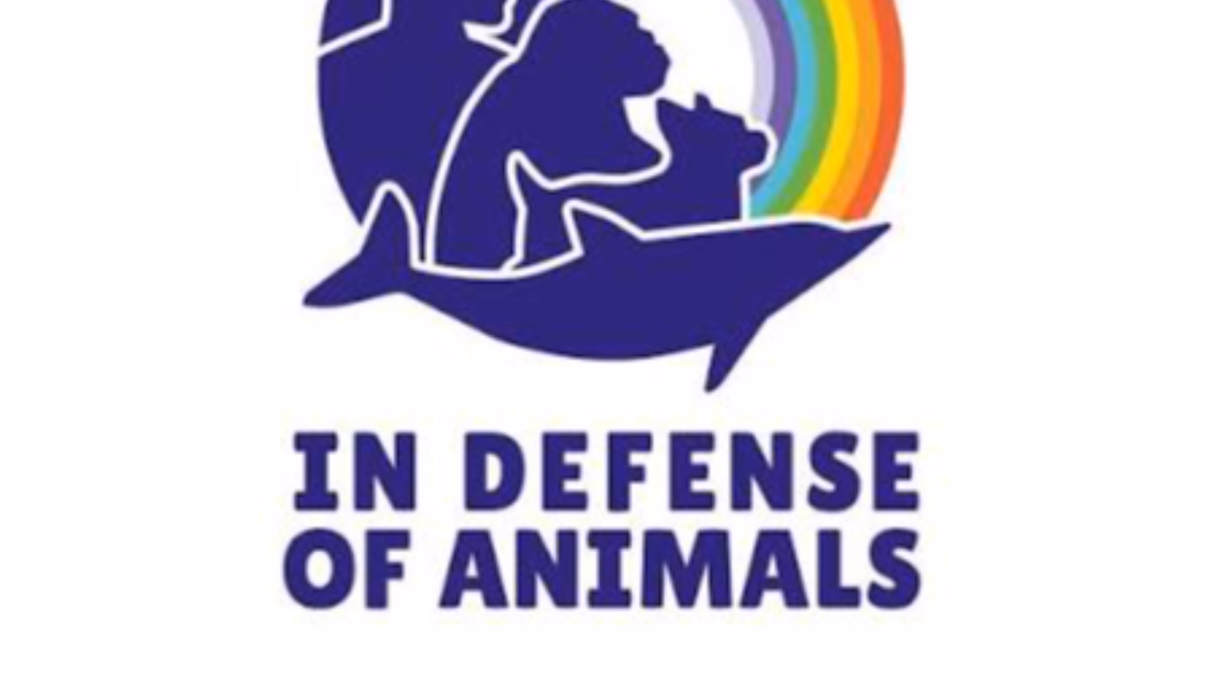 Vegan Mentor Support Group