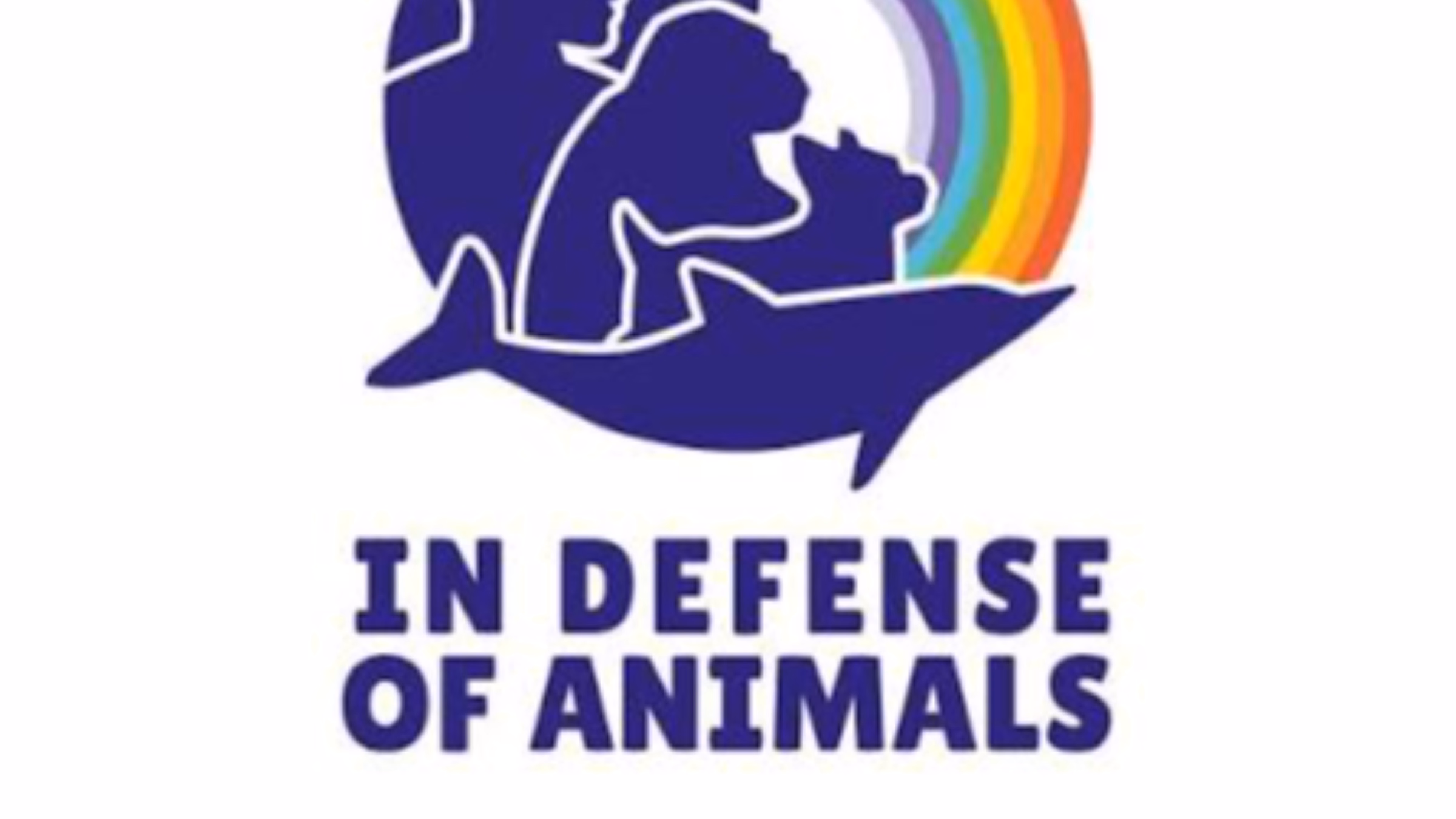 Animal Activist Online Support Group