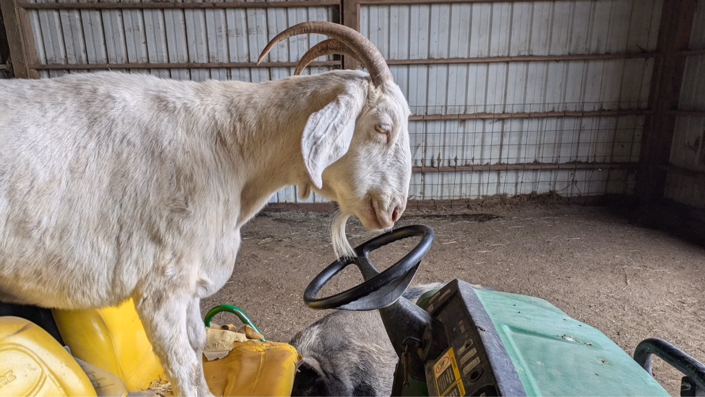 Lighthouse Sanctuary Work Party (every Second Sunday!)