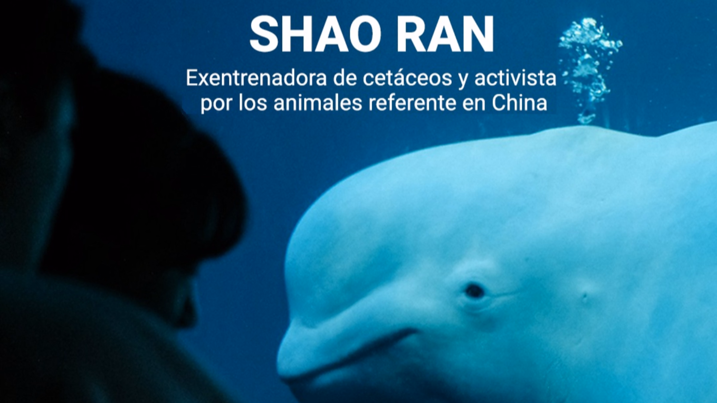 Gira por Europa de Shao Ran, exentrenadora de cetáceos en China - Charla en Madrid