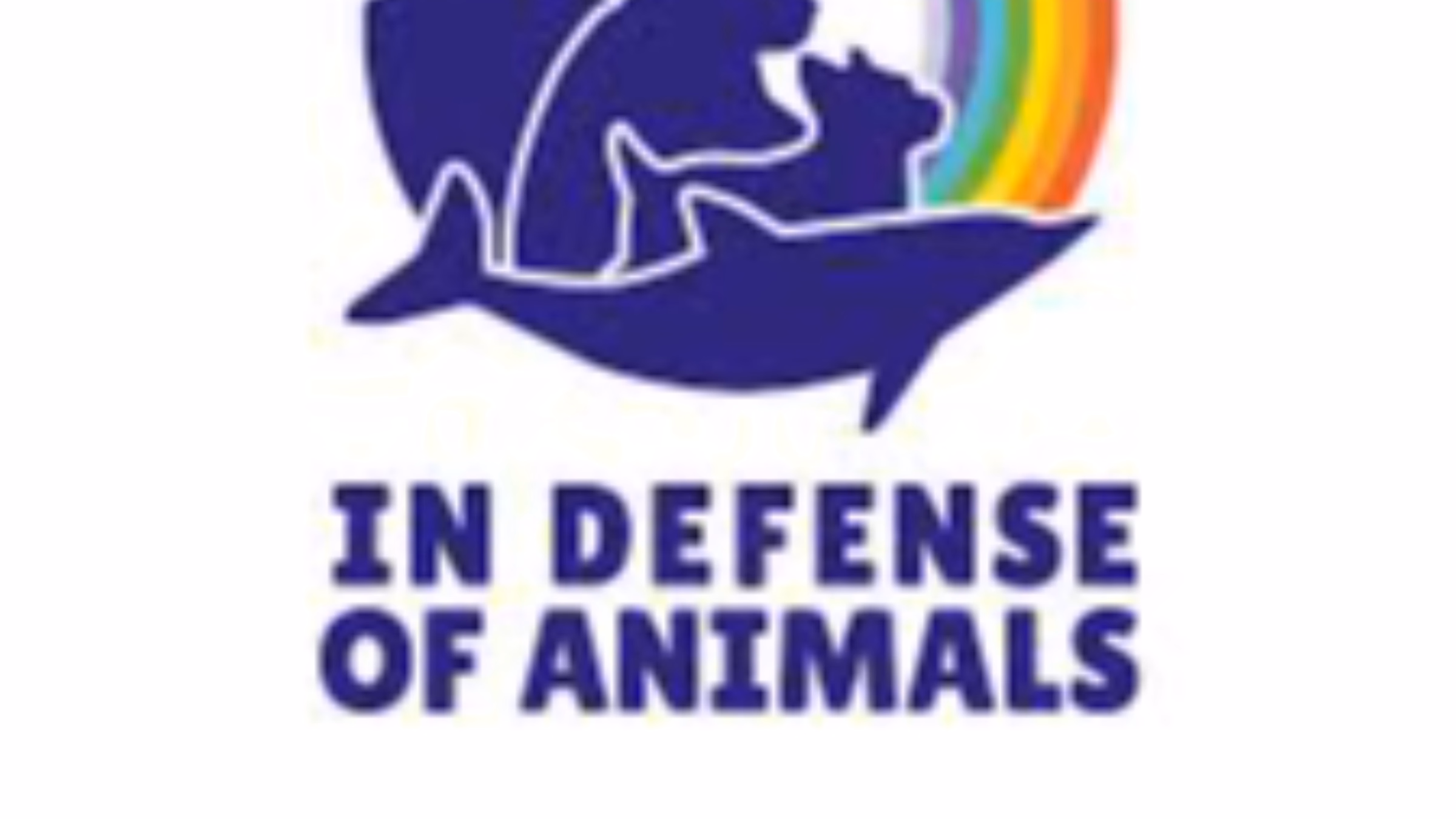 Vegan Mentor Support Group