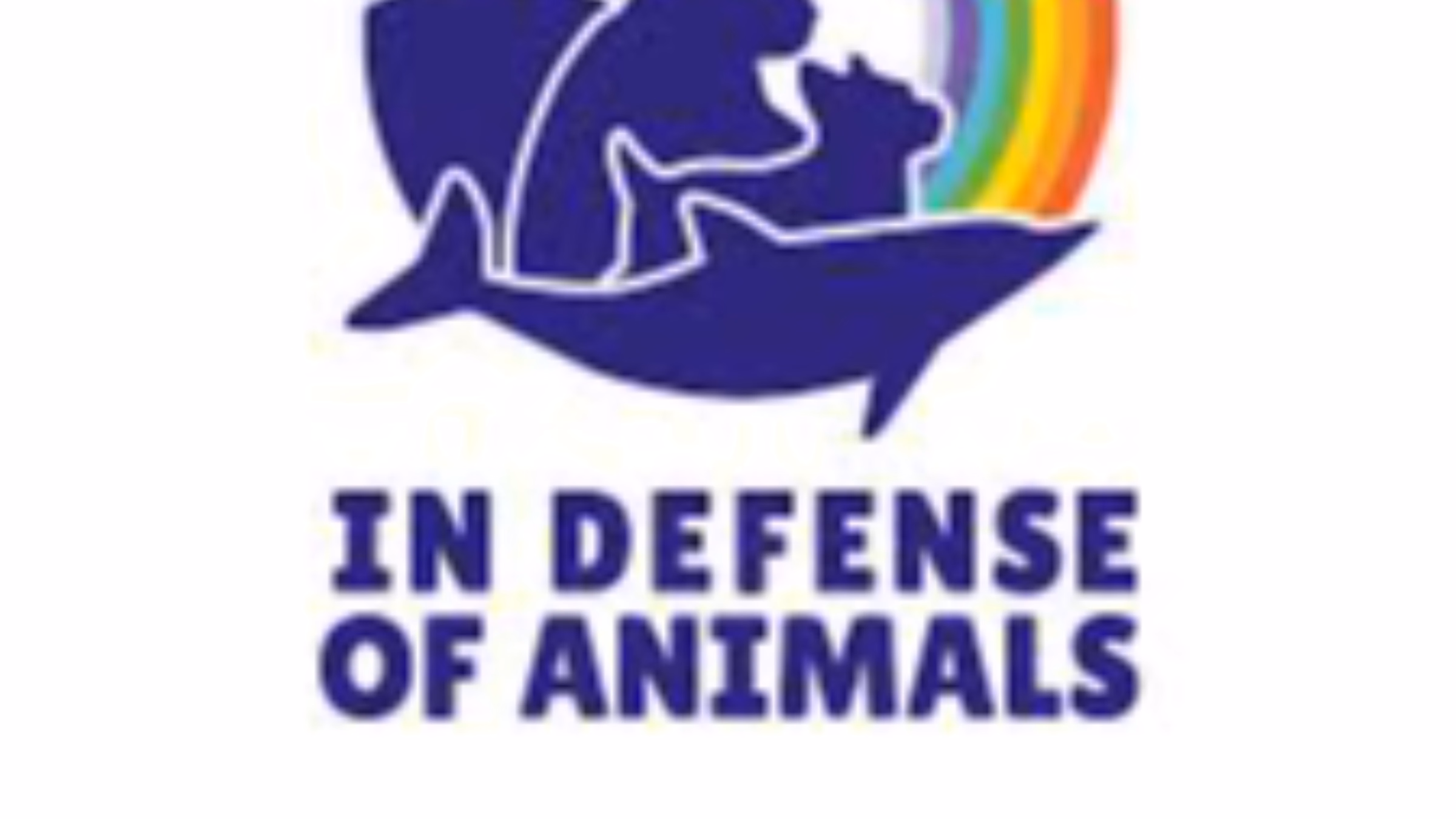 Animal Activist Online Support Group