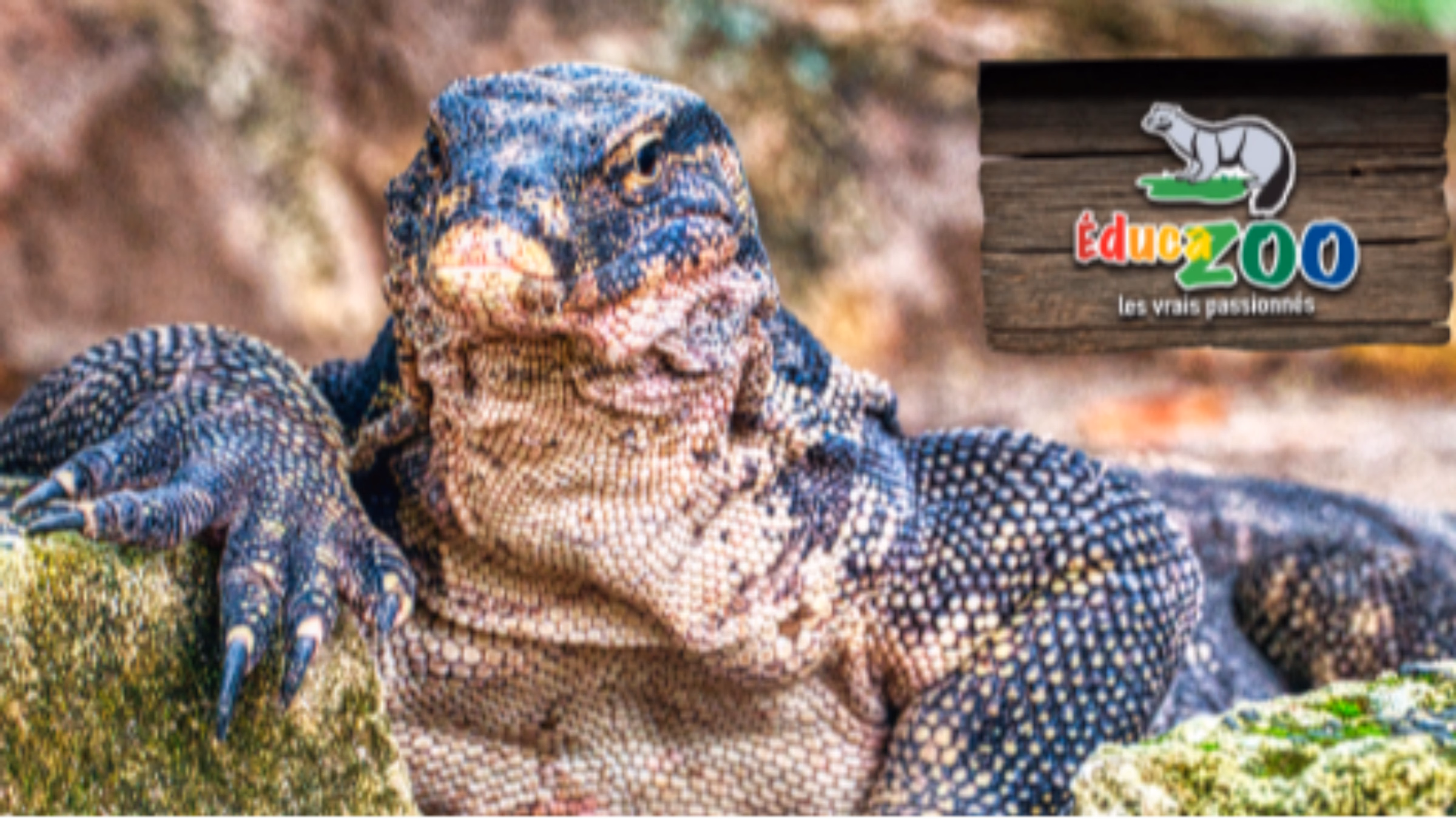 Speak up for captive wildlife!