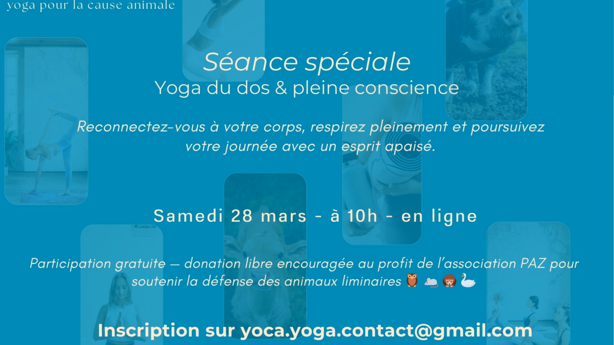 Charity yoga for animals (French)