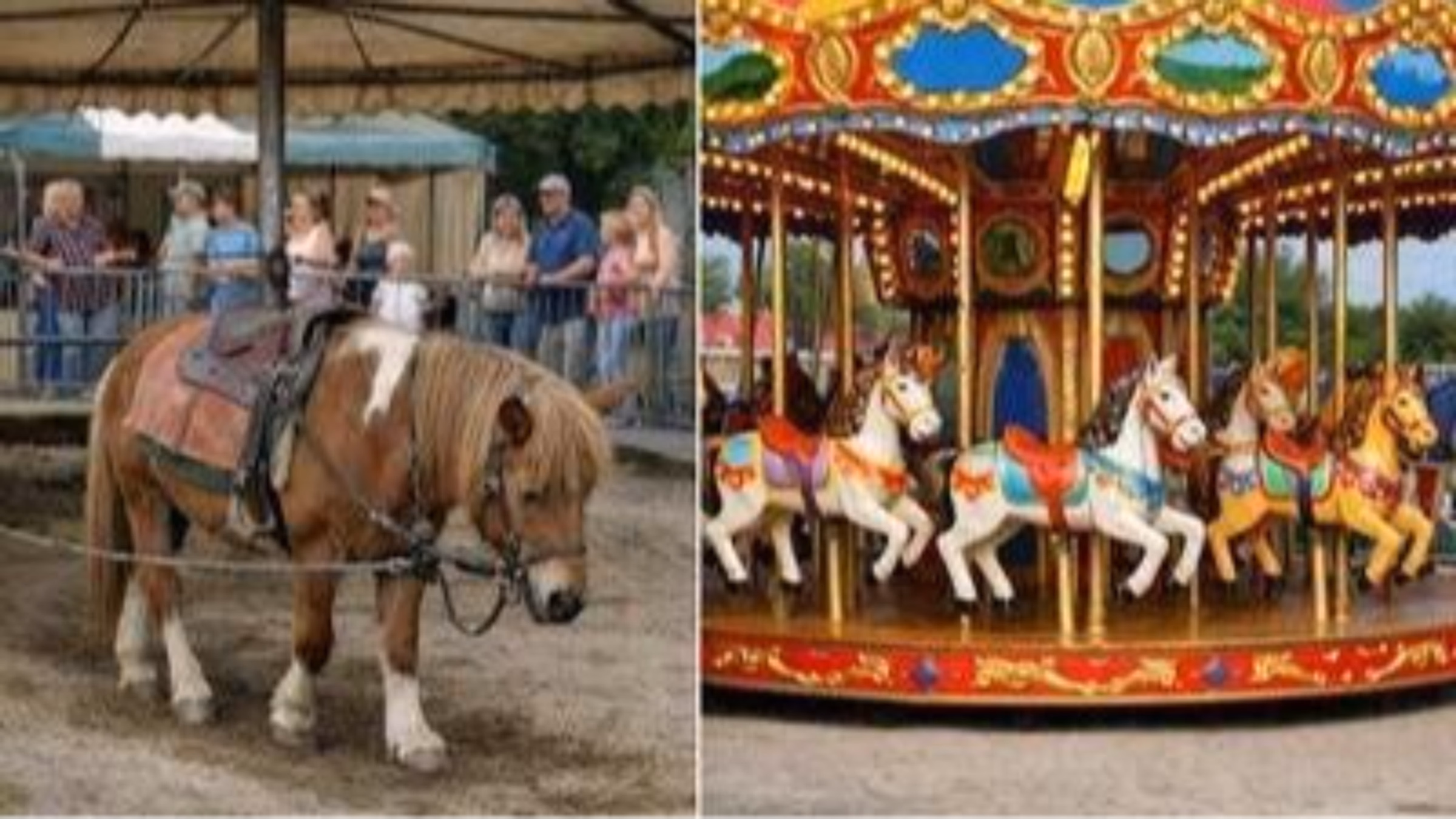 Stop the Live Carousel at the Hudson Easter Party!