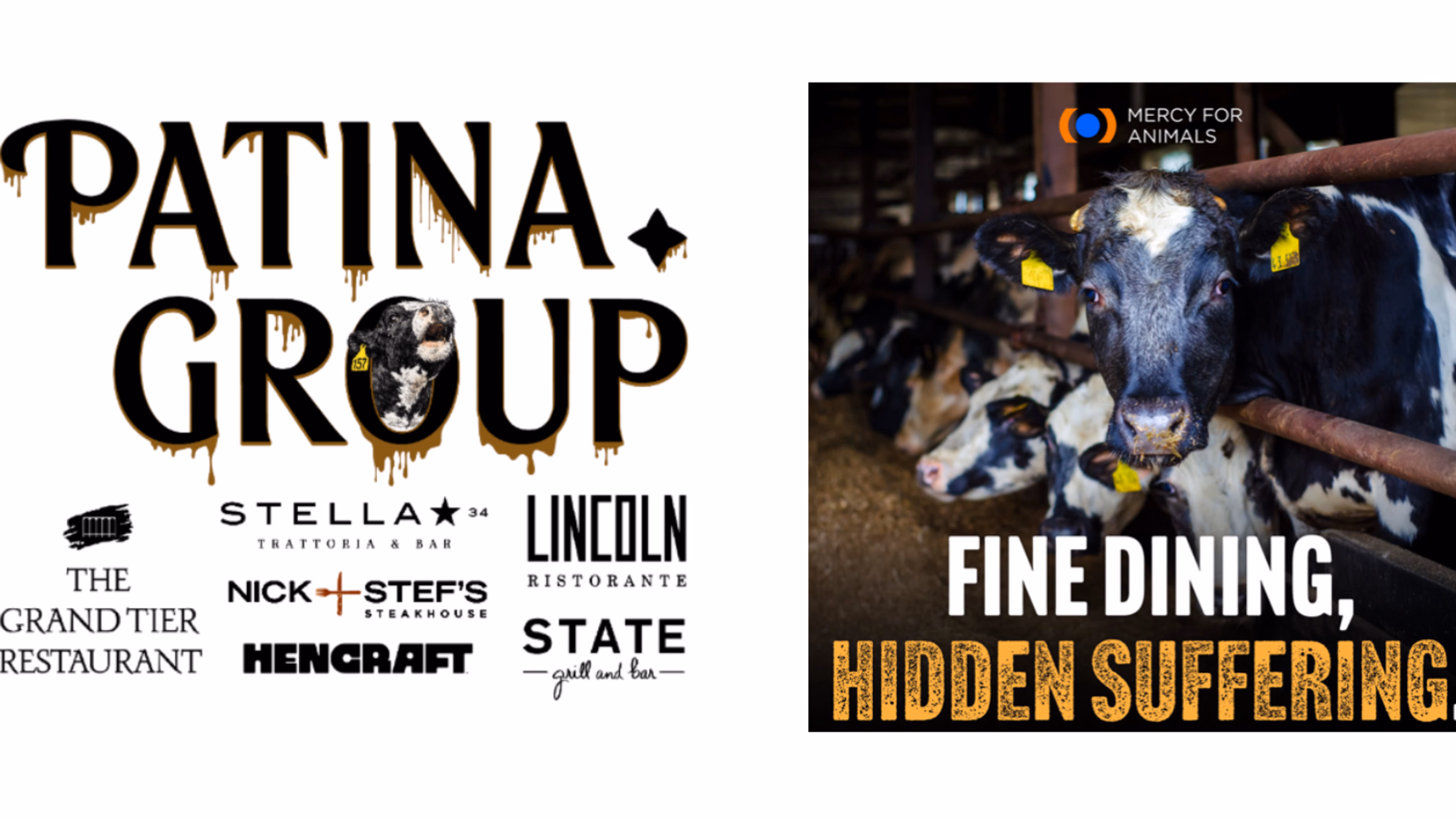 Patina Group Campaign Demo