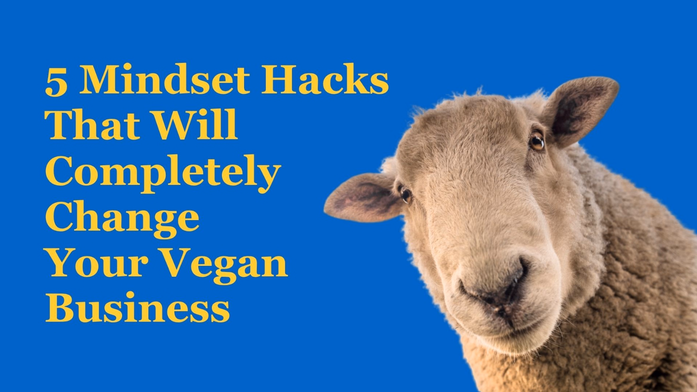 5 Mindset Hacks That Will Completely Change Your Vegan Business