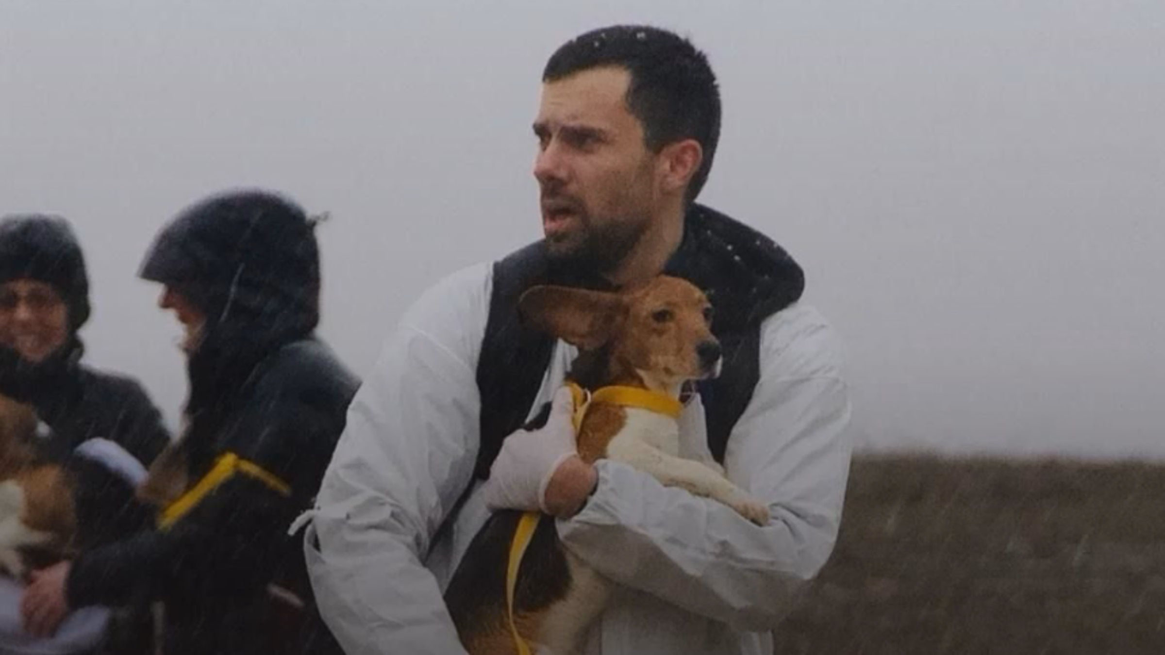 Show up to get 2,000 beagles out of vivisection hell