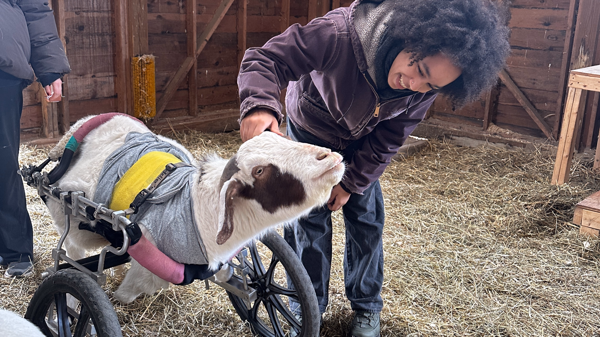 First Day of Public Tours at Woodstock Farm Sanctuary