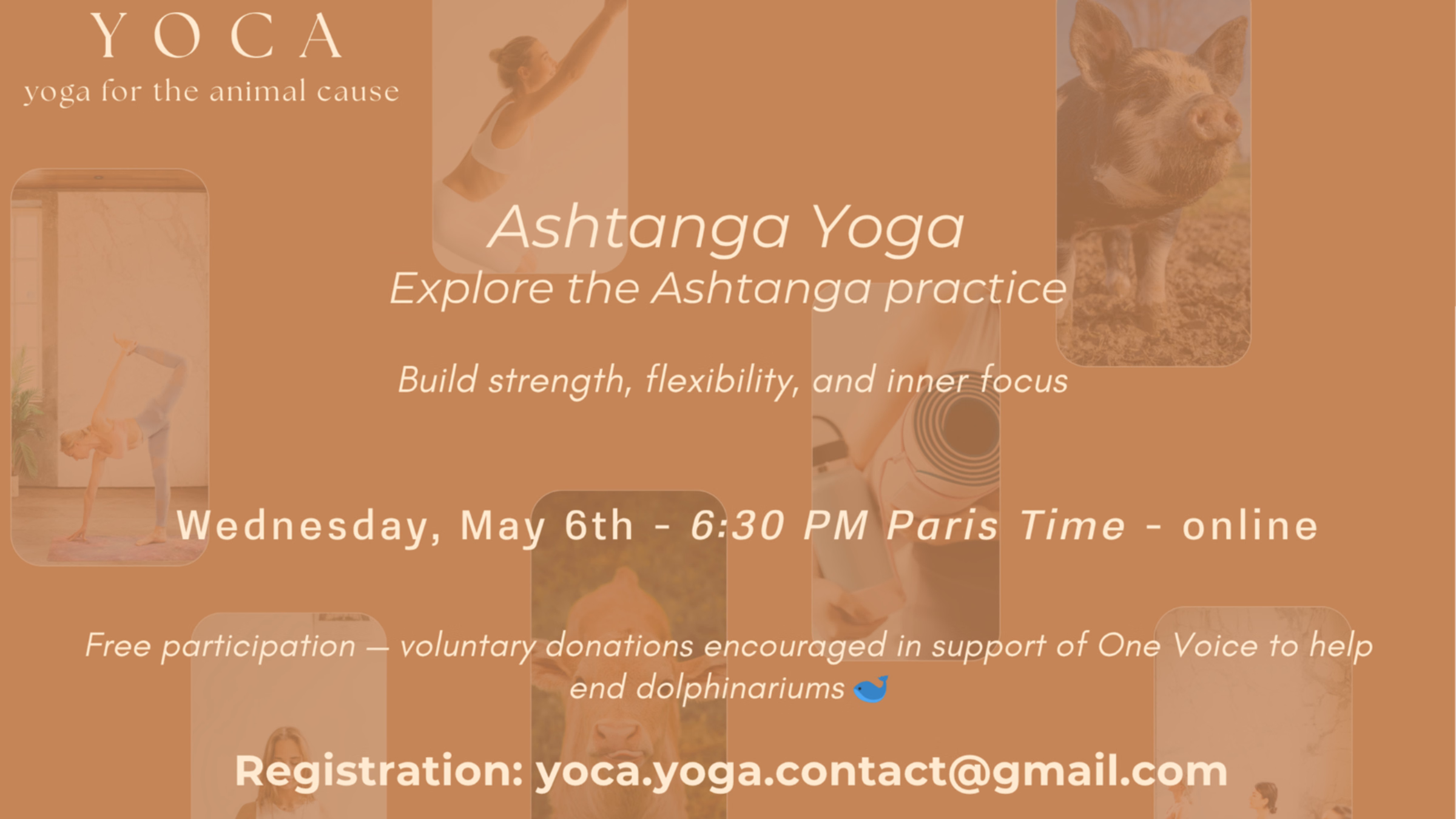 Charity Yoga for animals (in English)
