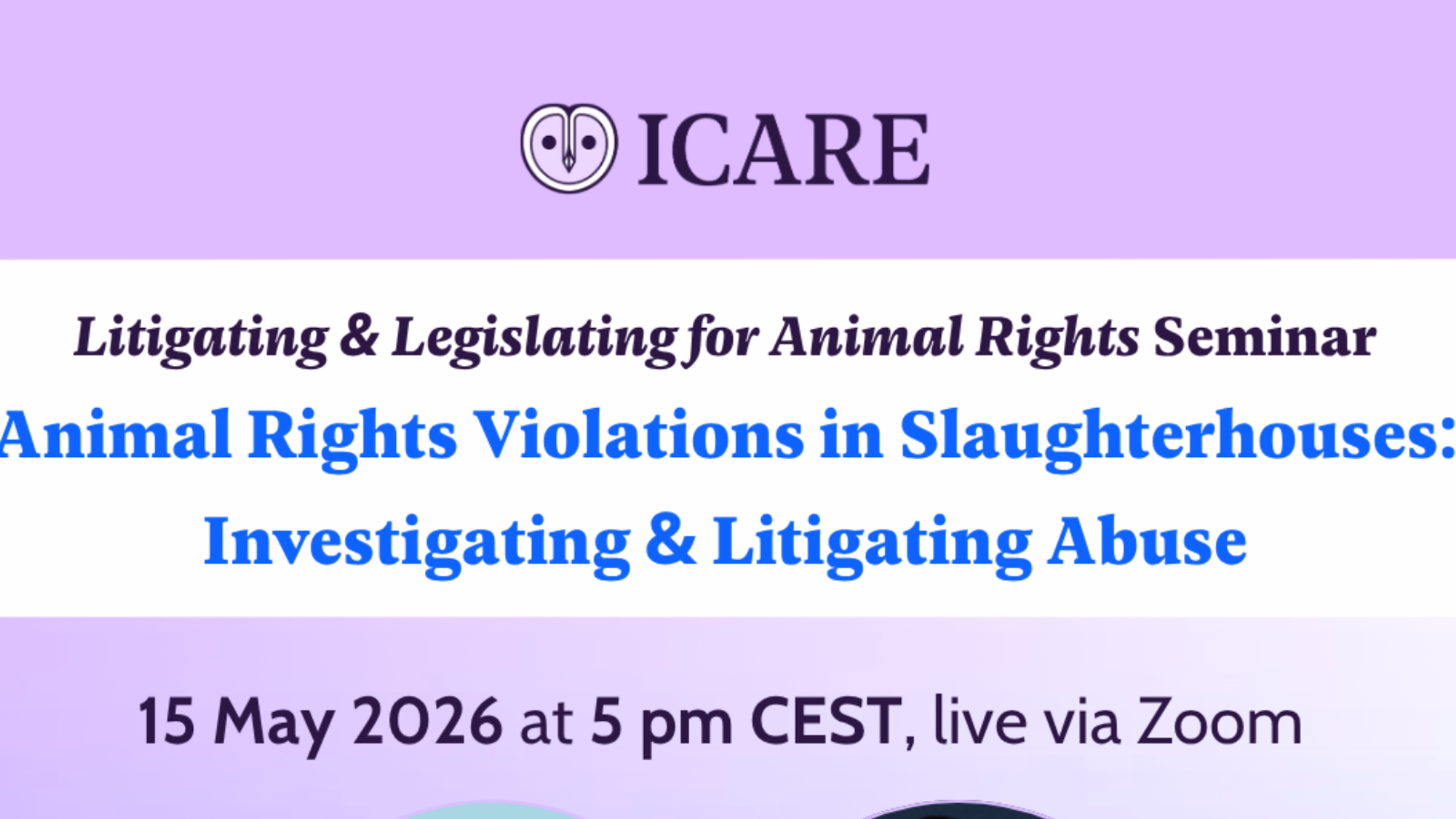 Animal Rights Violations in Slaughterhouses: Investigating and Litigating Abuse 
