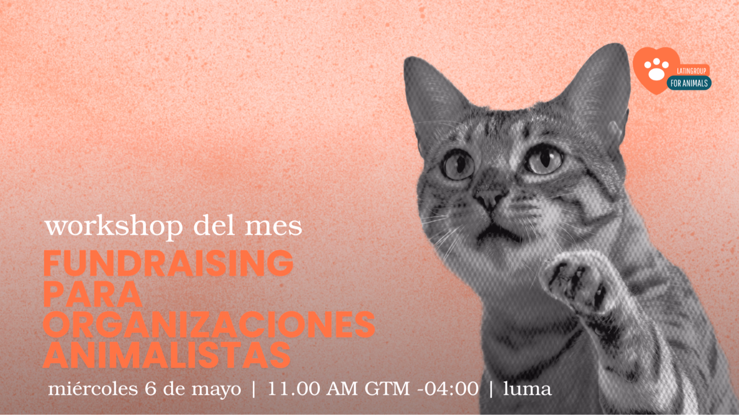Fundraising para organizaciones animalistas 
