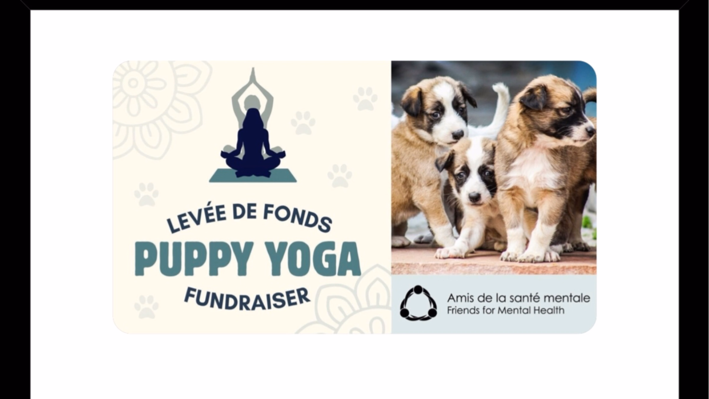 Adopt Don’t Shop!  Protest Puppy Yoga!  Request Friends For Mental Health Promote Adoption!