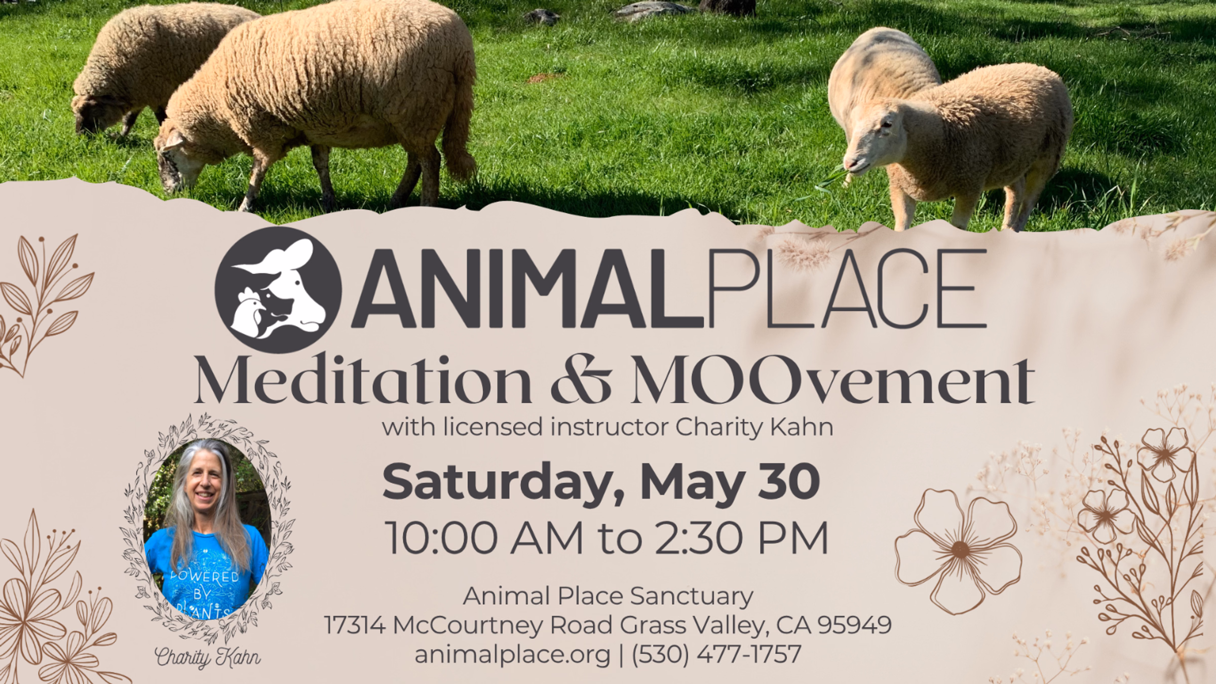 Meditation & MOOvement