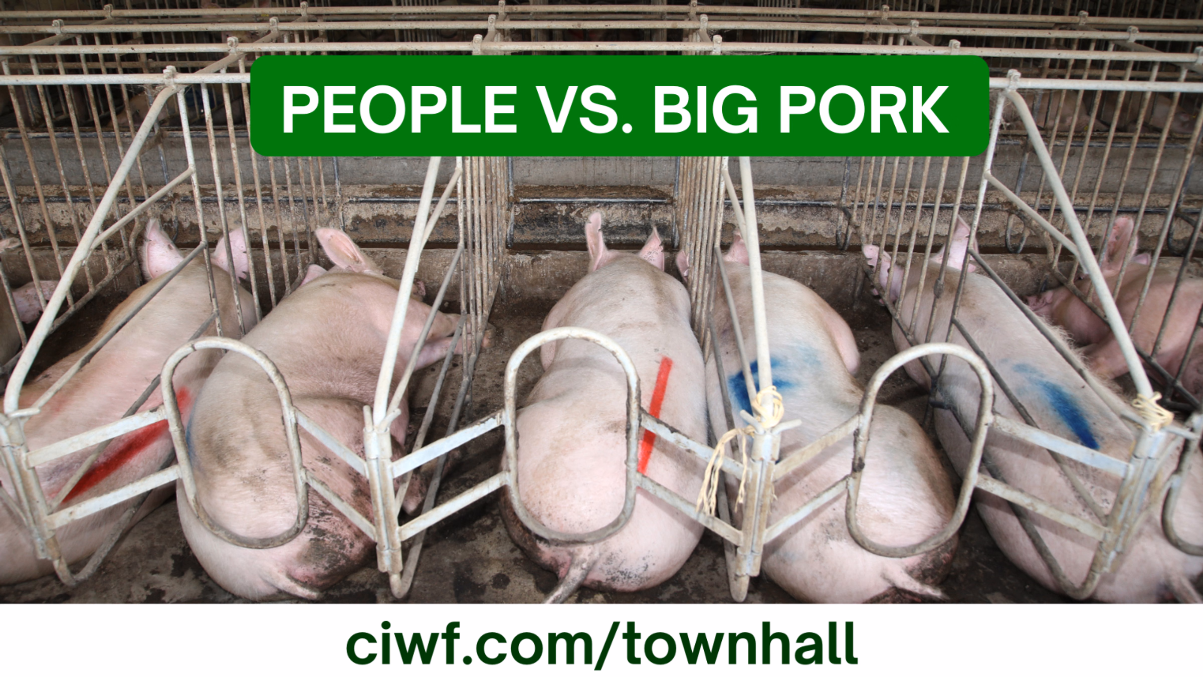 People vs. Big Pork: Town Hall for Advocates