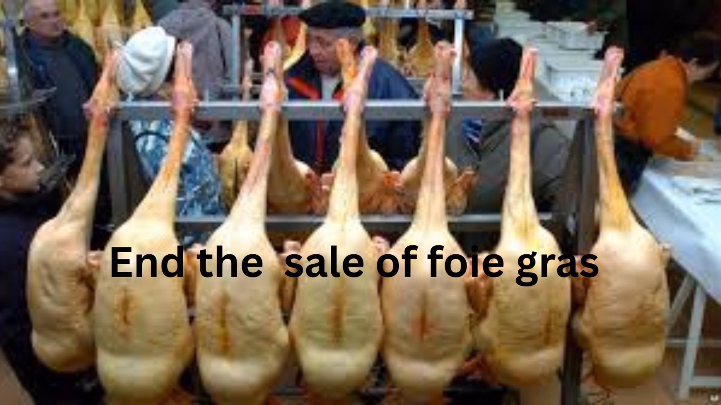 End the Sale of Foie Gras