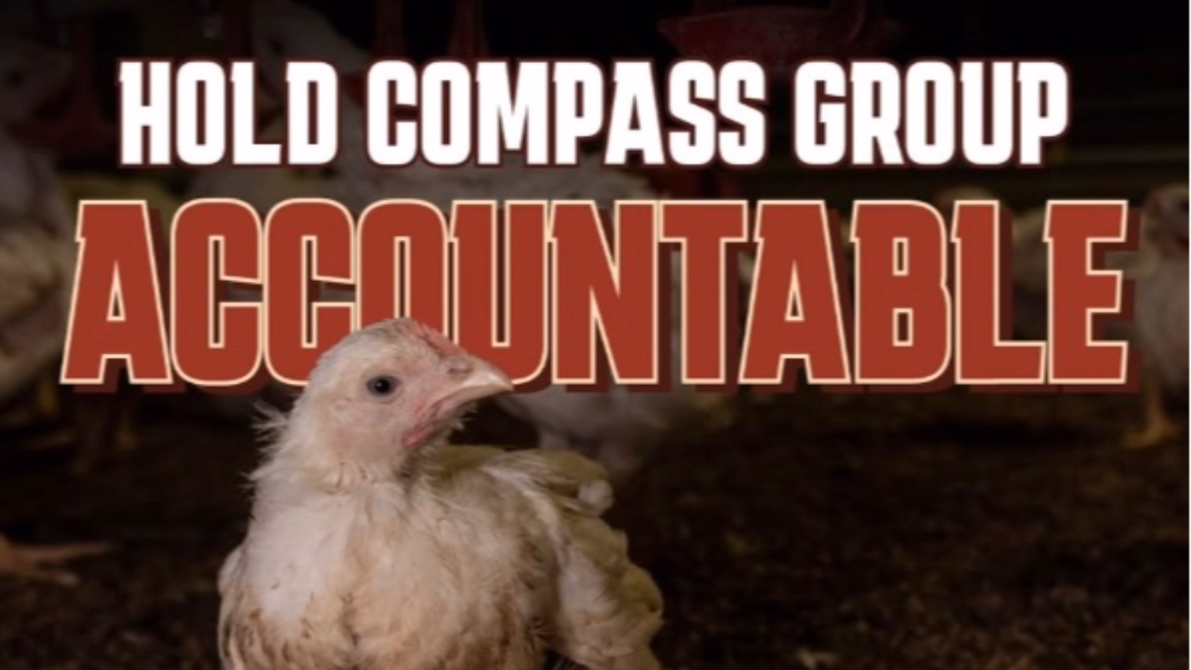 Cookbook Club & Compass Demo 