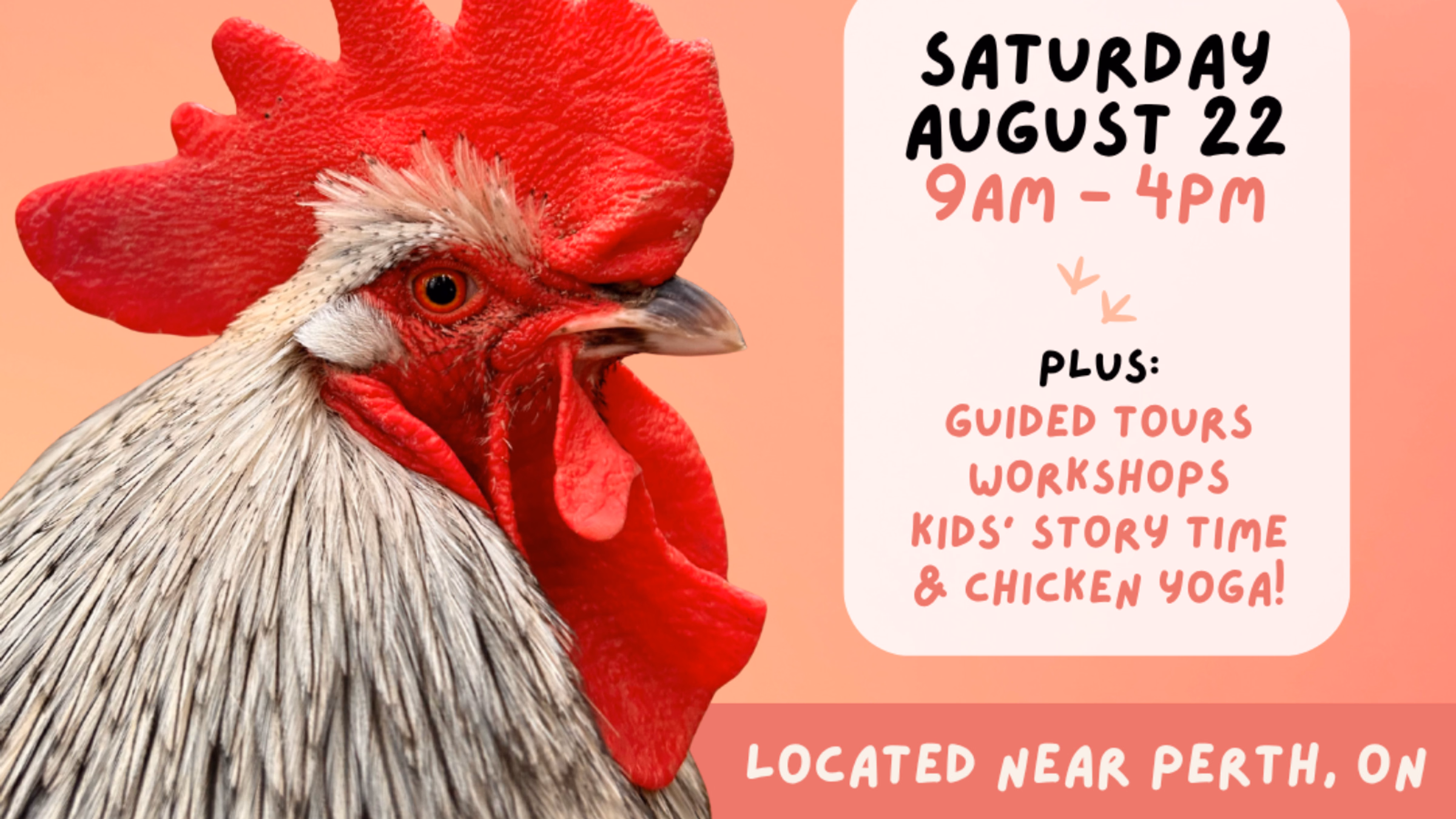 Secondhand Stories Chicken Sanctuary Open House