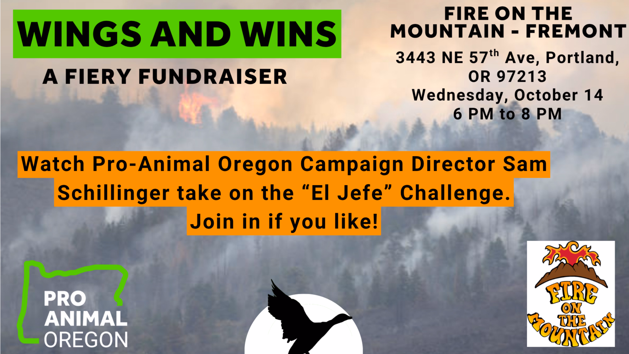 Wings for Wins: A Fiery Fundraiser