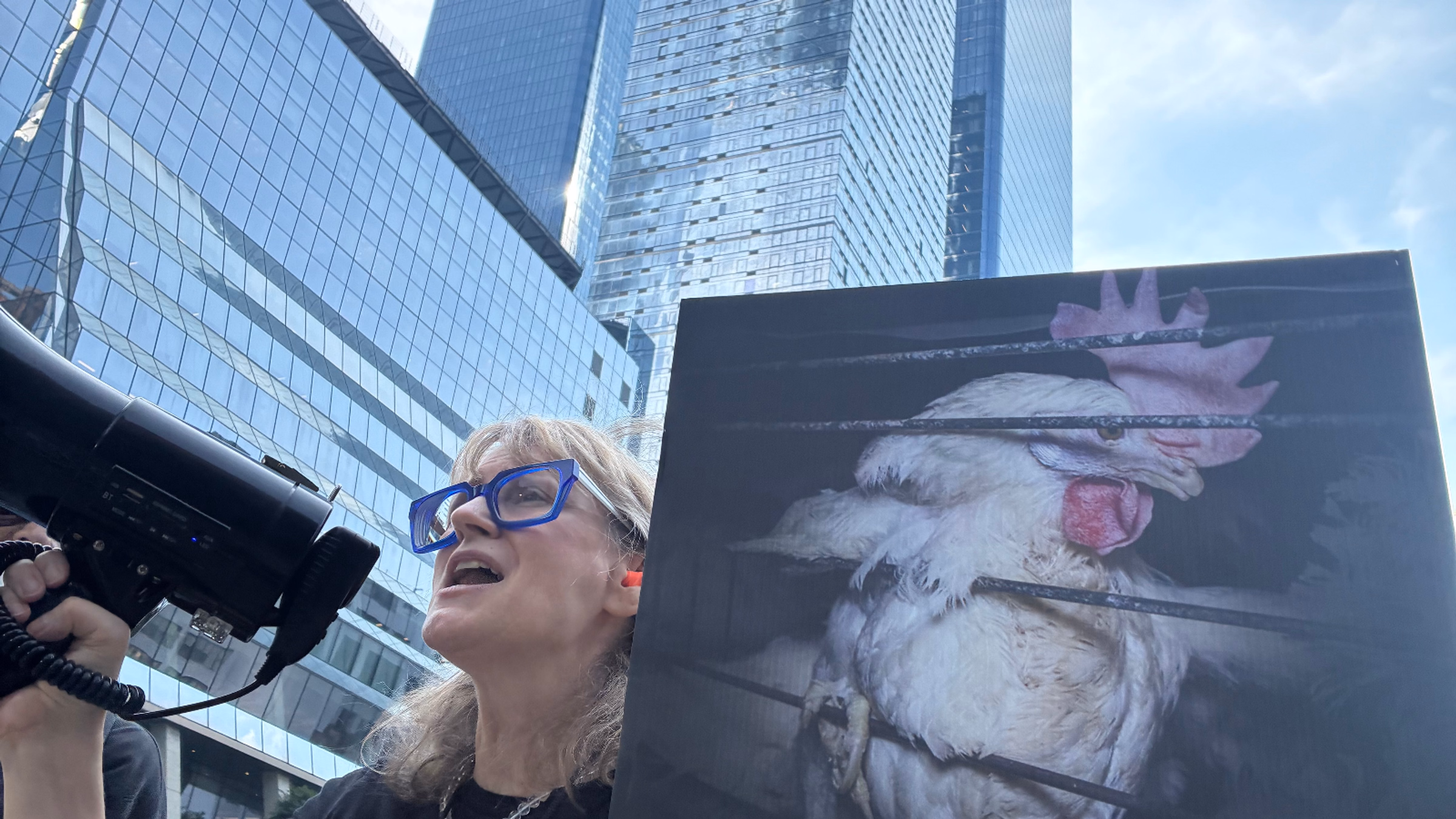 Protest BCG's Ties to Animal Cruelty - Boston, MA