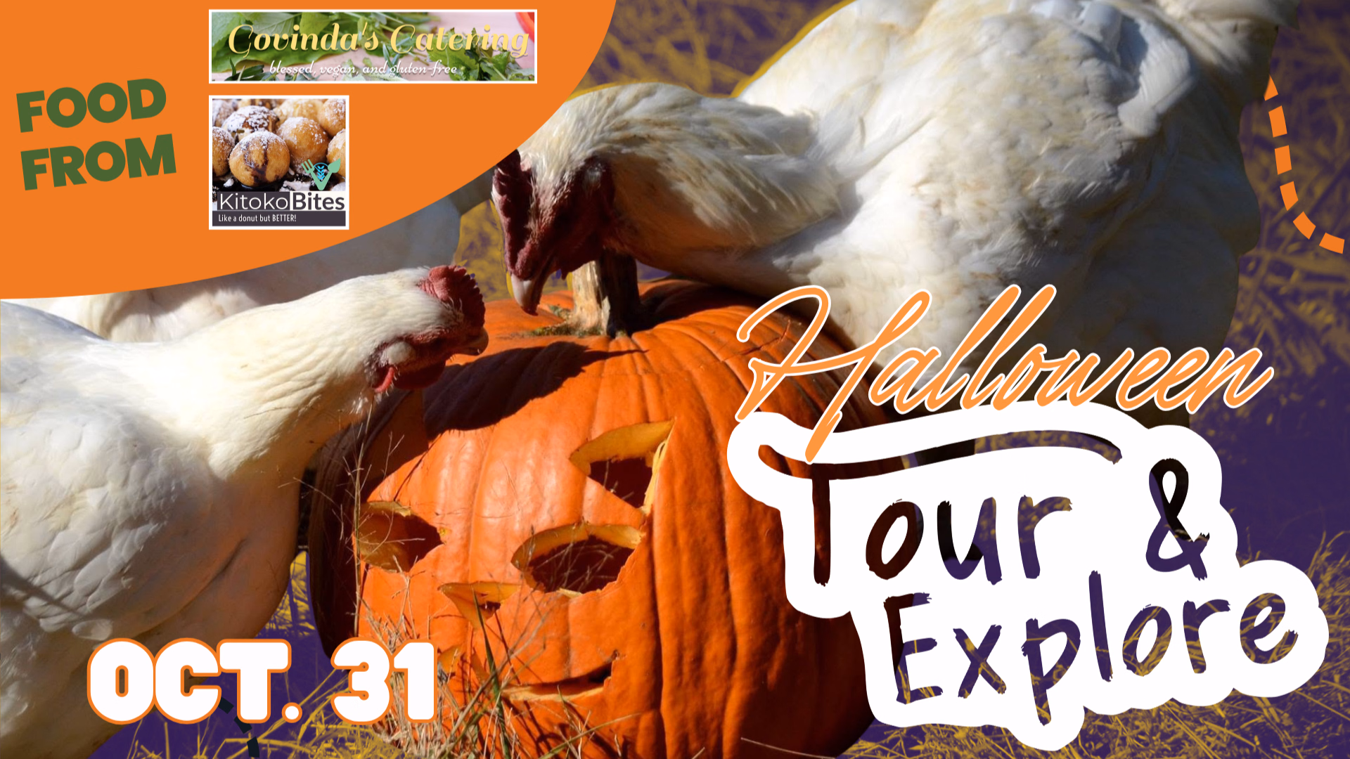 Halloween Tour & Explore at the Refuge