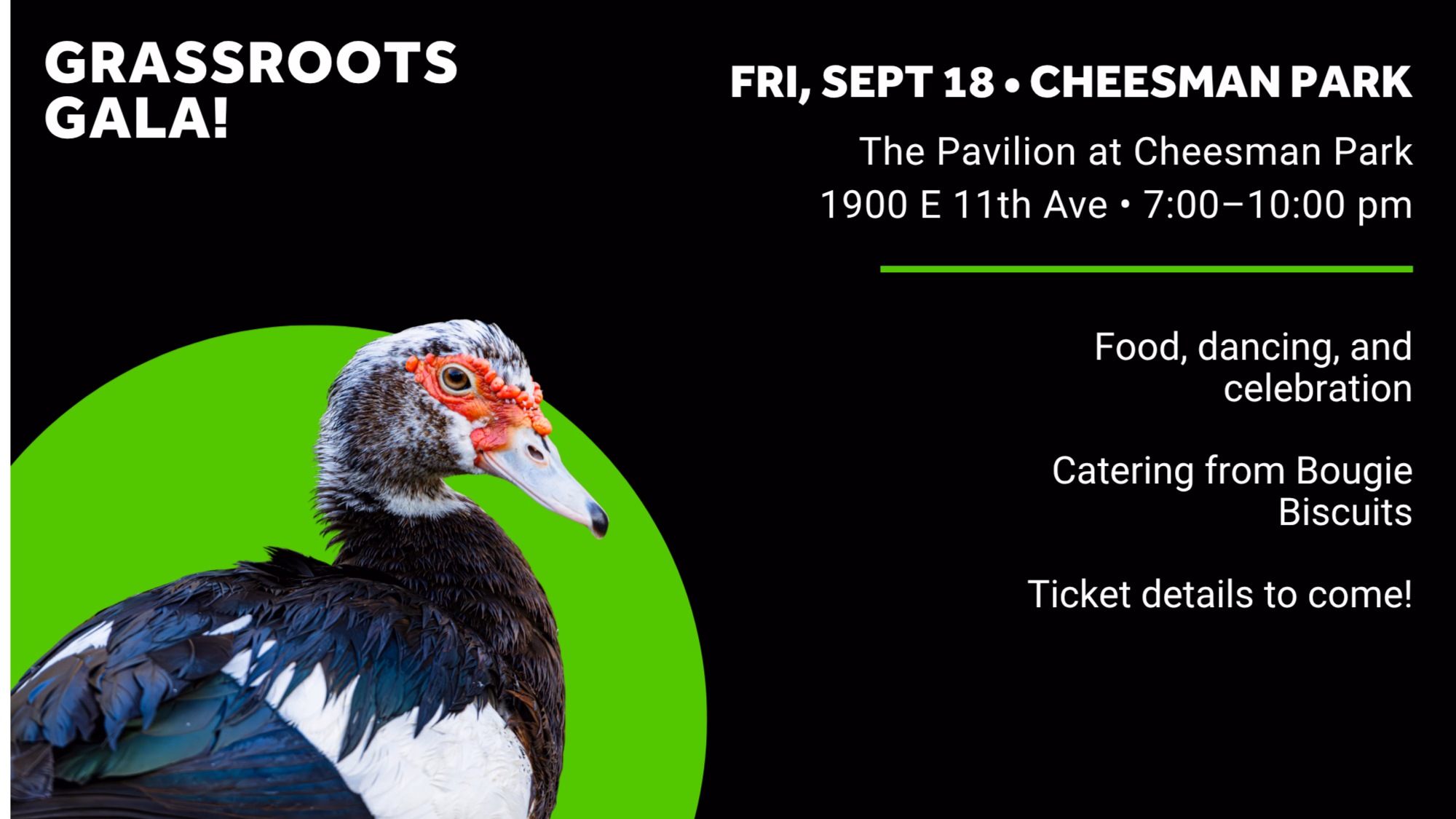 Grassroots Gala