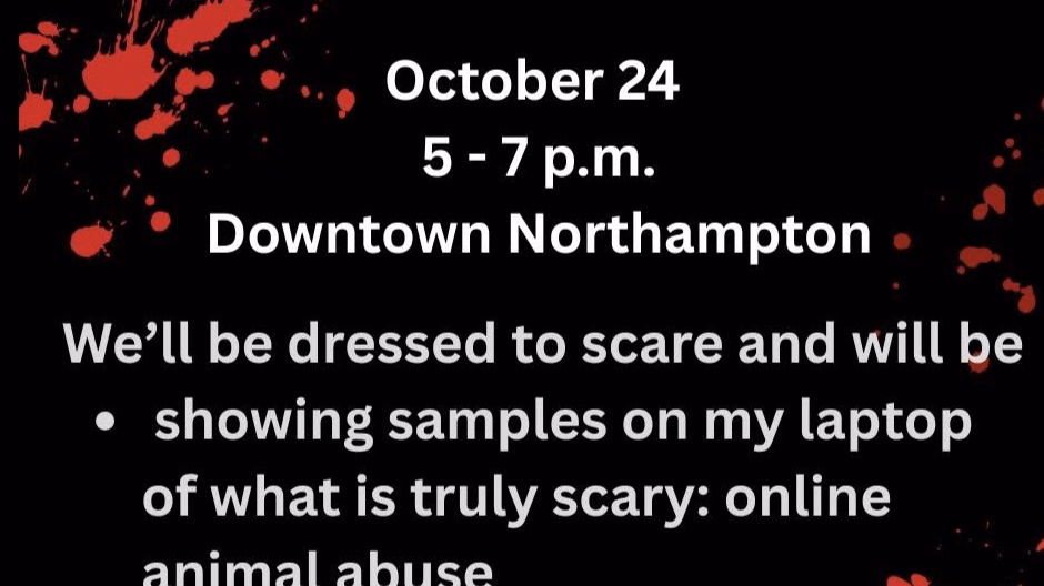 Outreach on Online Animal Abuse