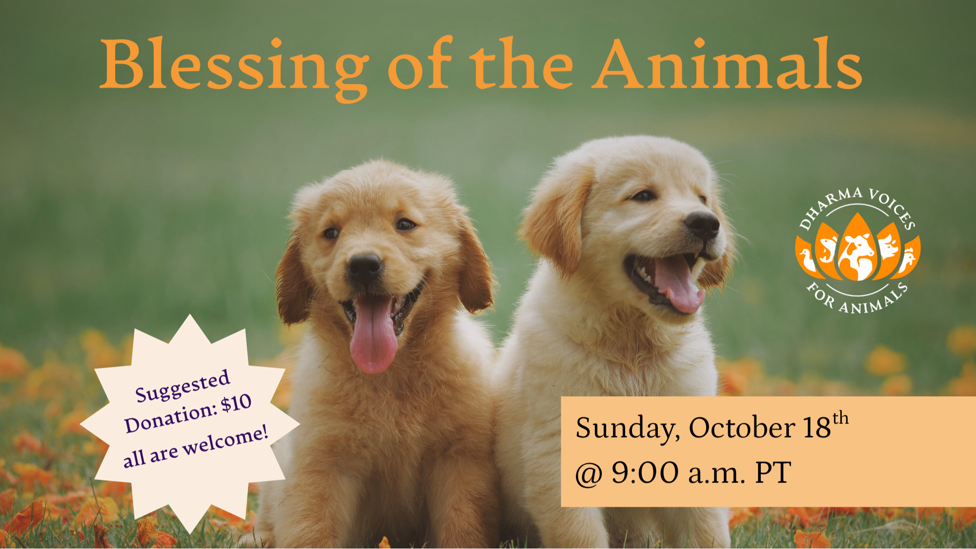 Blessing of the Animals with Venerable Bhante Sathi
