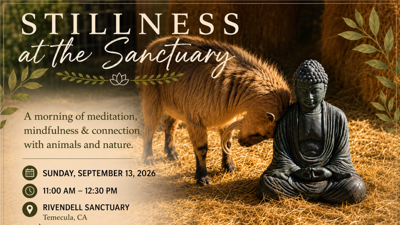 Stillness at the Sanctuary