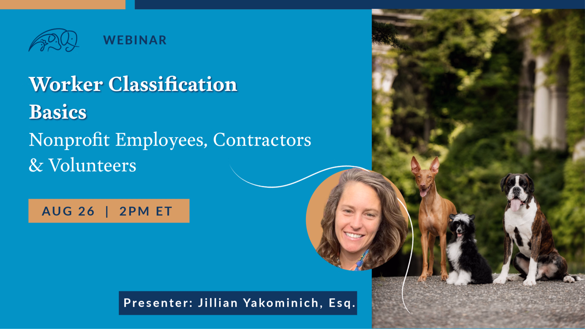 Worker Classification Basics: Nonprofit Employees, Contractors & Volunteers