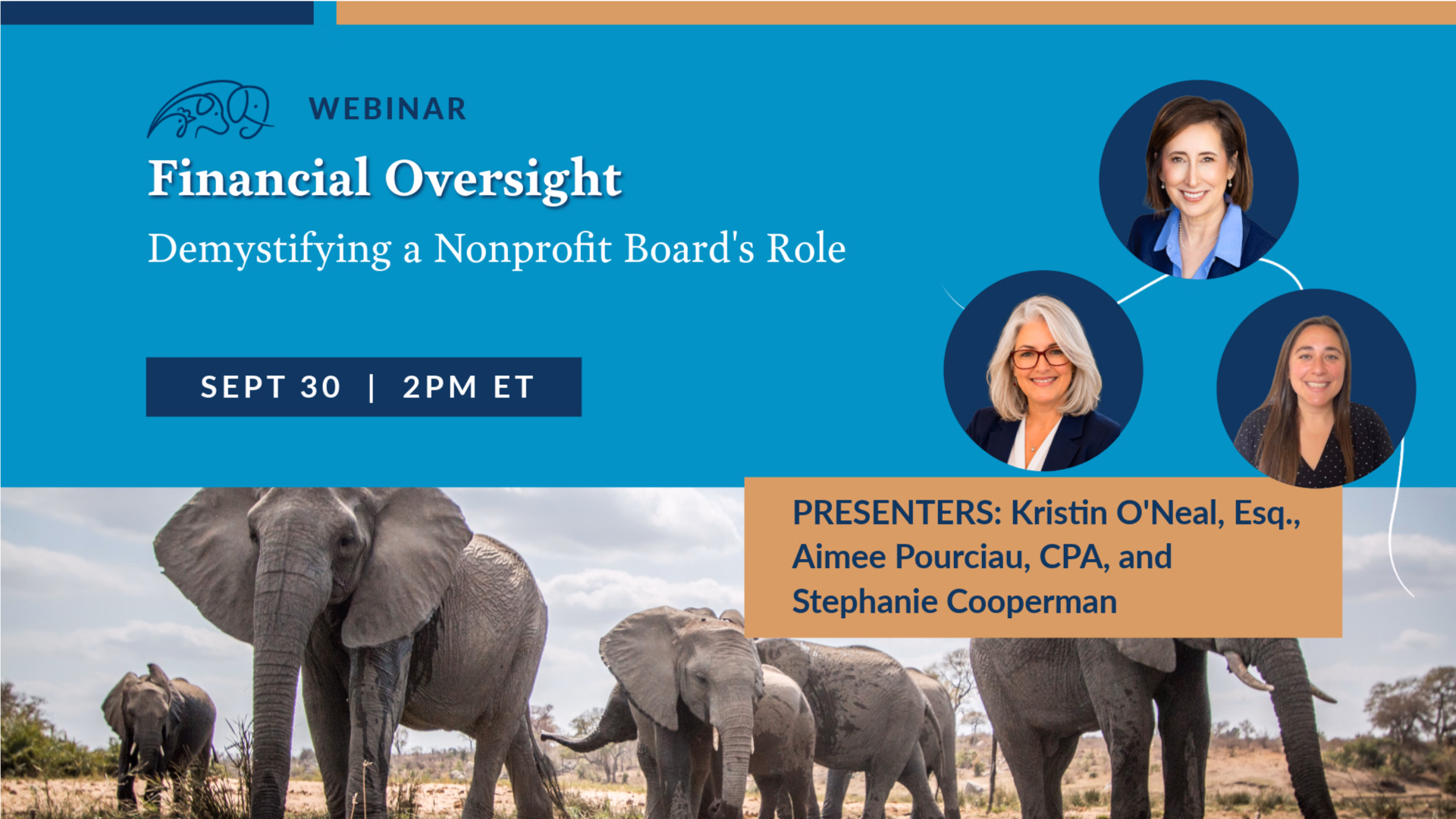 ADP Webinar -- Financial Oversight: Demystifying a Nonprofit Board’s Role