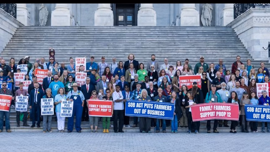 Rally at Sen. Wyden's Office for Animals!
