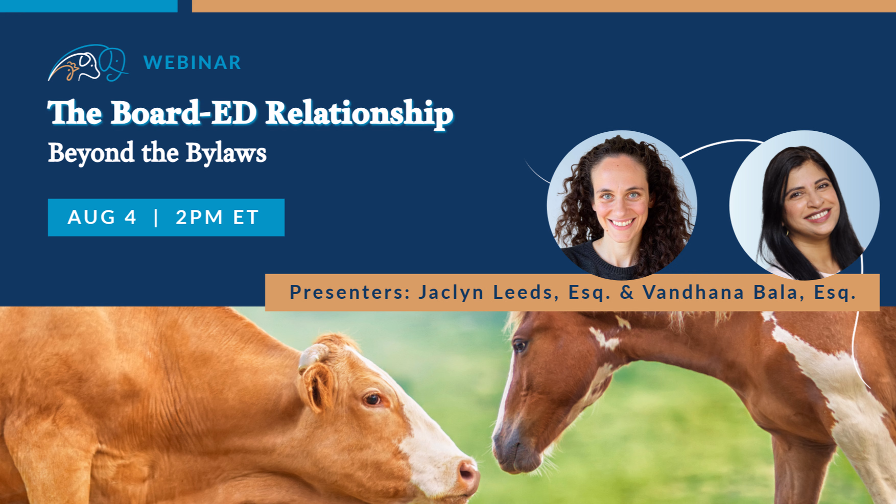 The Board-ED Relationship: Beyond the Bylaws