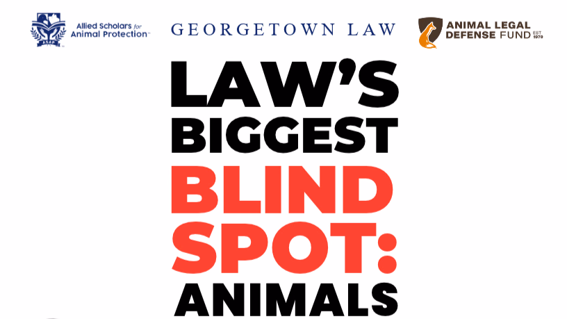 Law's Biggest Blindspot: Animals, with Dr. Faraz Harsini