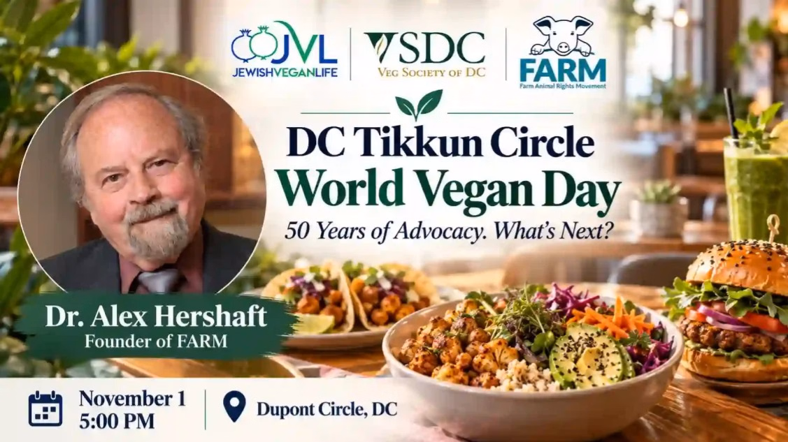 🌱 WORLD VEGAN DAY: 50 YEARS OF ADVOCACY. WHAT'S NEXT?